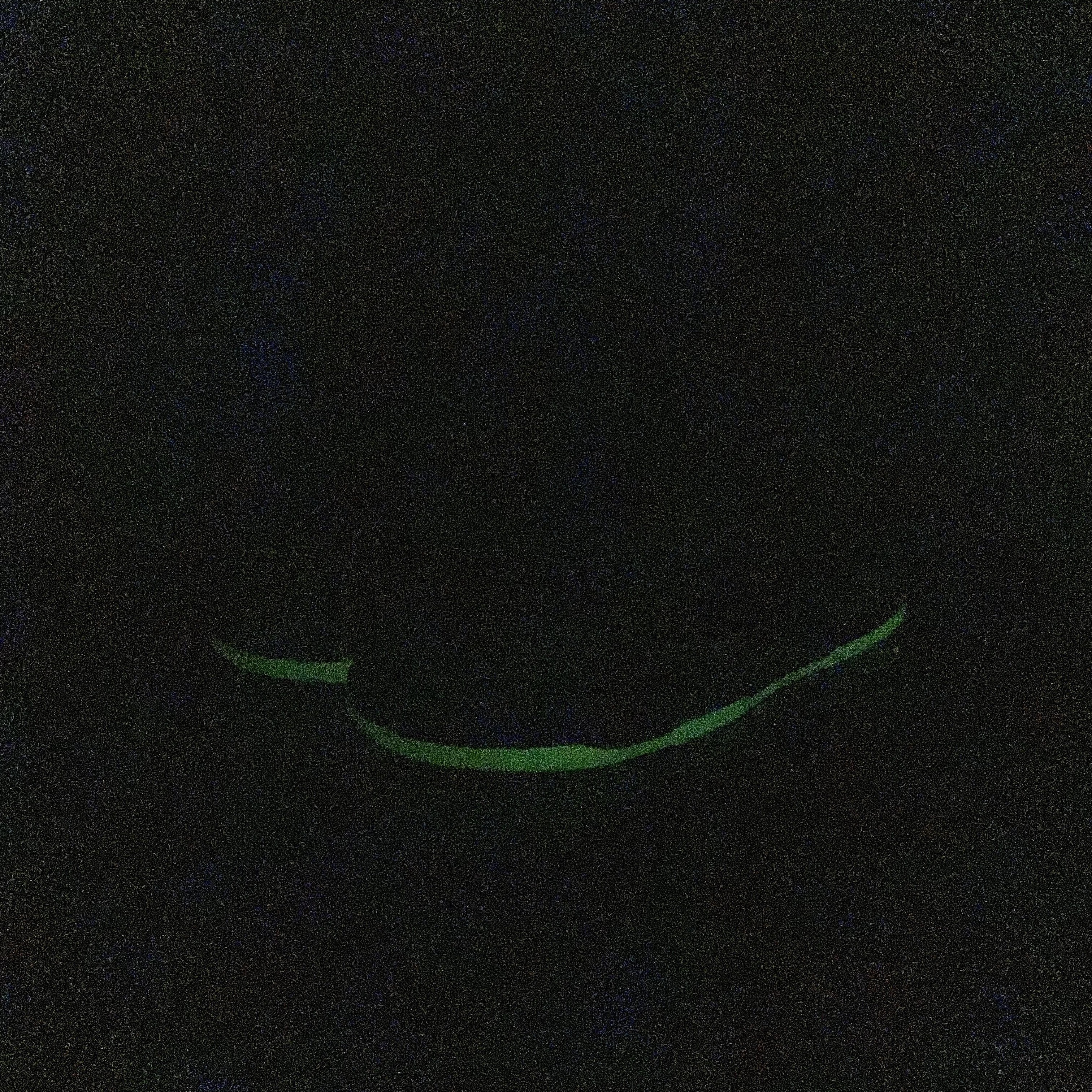 Nike Dunk Low Volt 착용 스타일 - 2