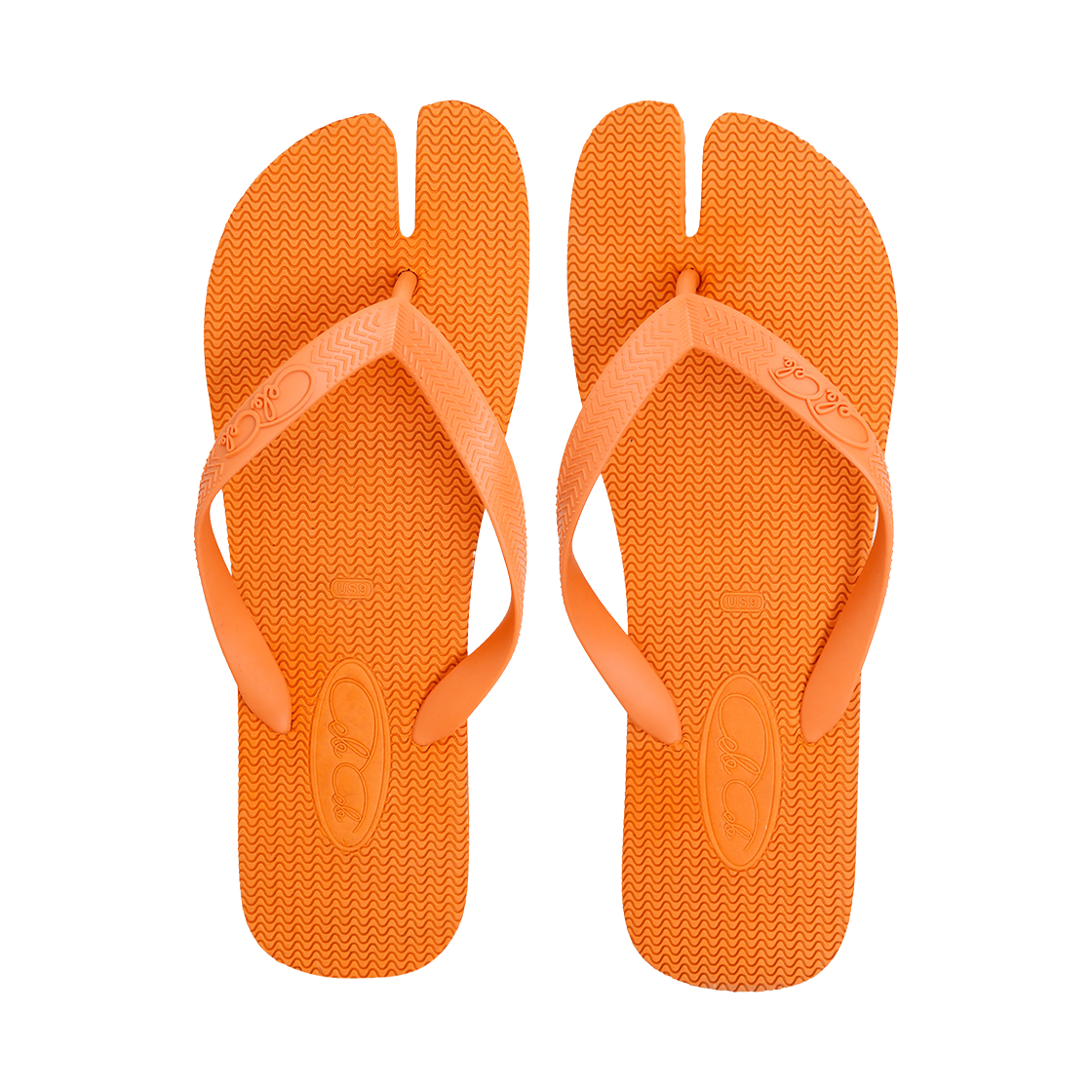 꼴레꼴레 뉴 웨이브 오렌지(Colecole New Wave Orange) - 5