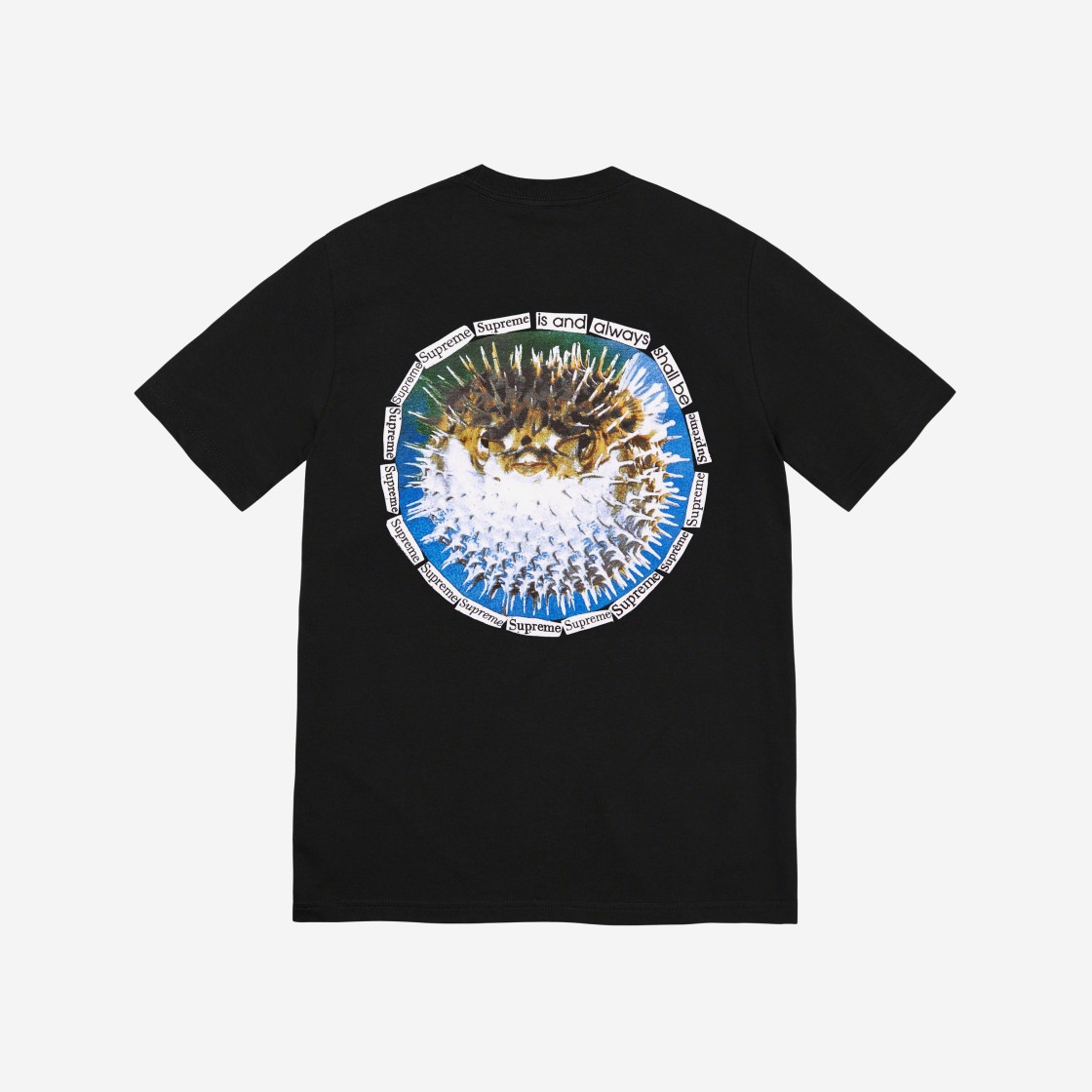 Supreme Blowfish T-Shirt Black - 23SS 상세 이미지 1