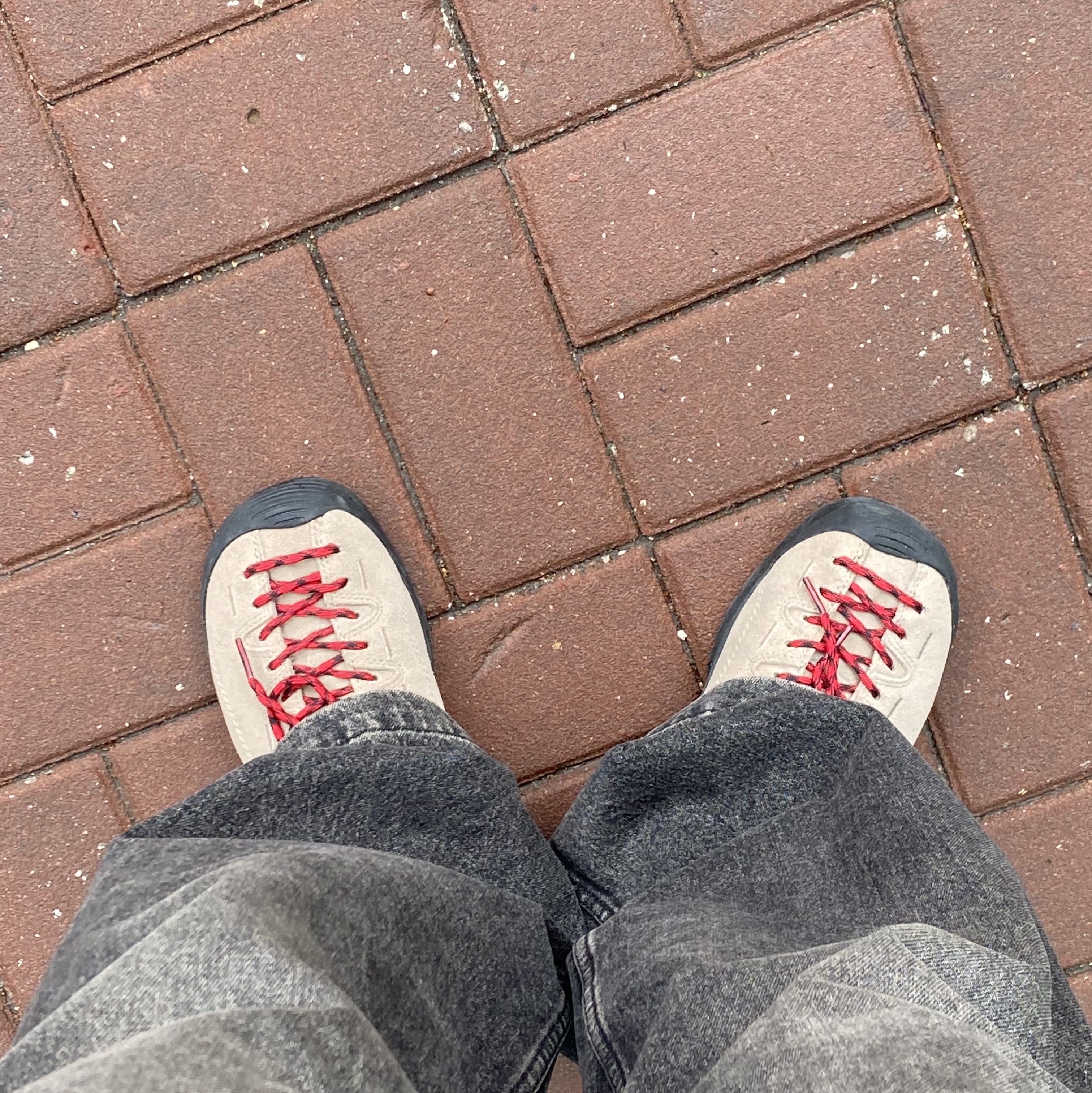 Keen Jasper Suede Sneakers Silver Mink 착용 스타일 - 2