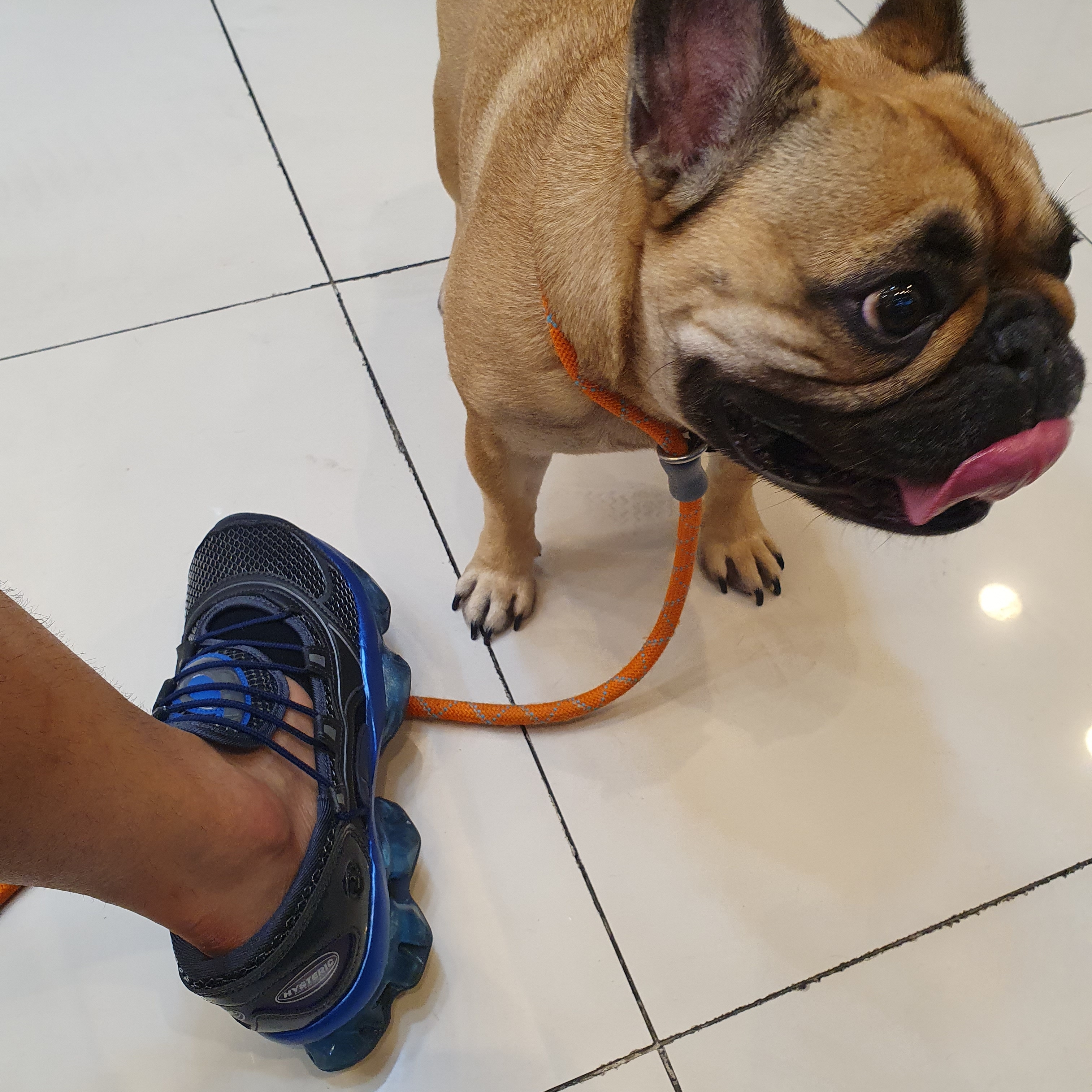 (W) Asics x Kiko Kostadinov x Hysteric Glamour Gel-Quantum Lylia Pure Silver Blue Expanse 착용 스타일 - 1