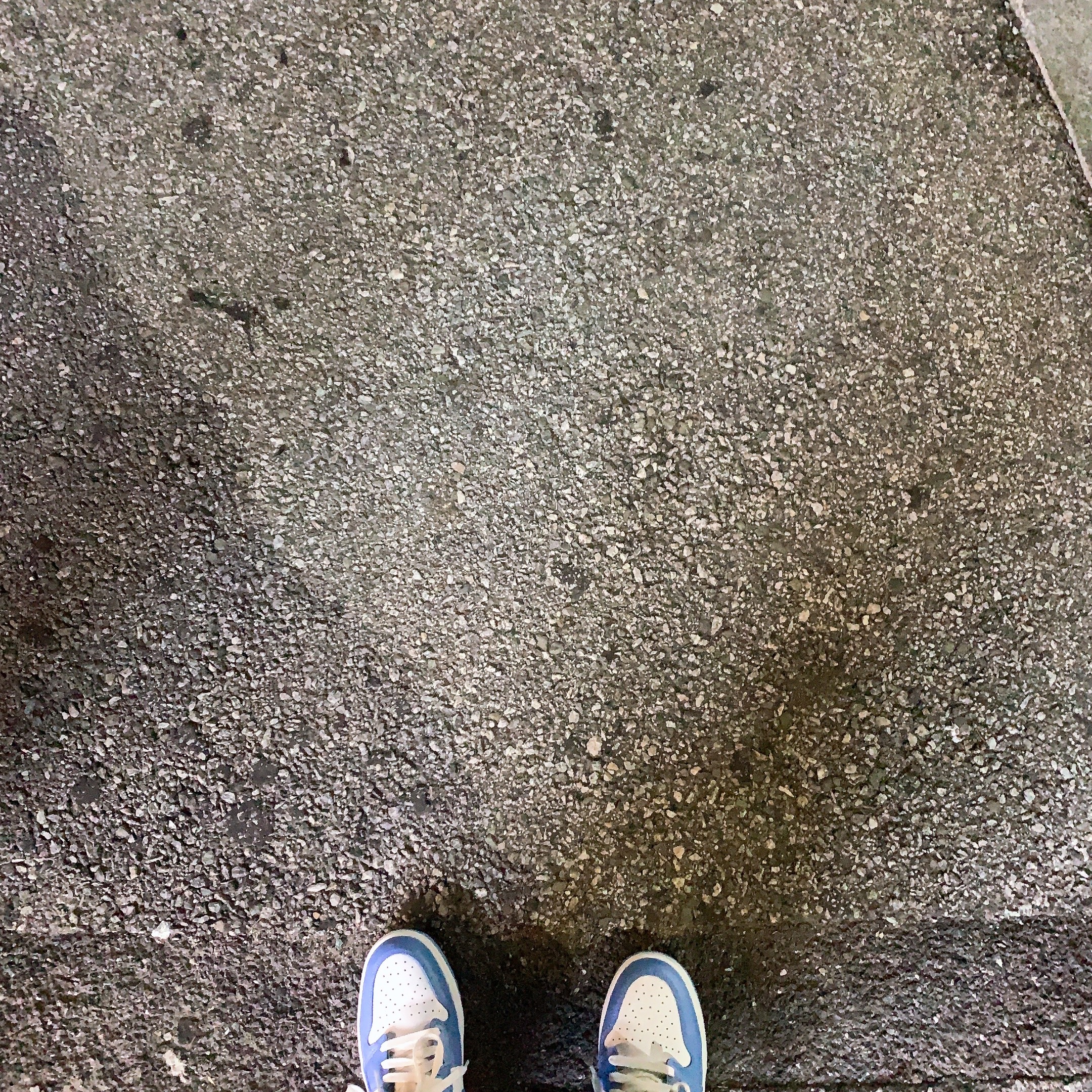 Jordan 1 Low Golf White and University Blue 착용 스타일