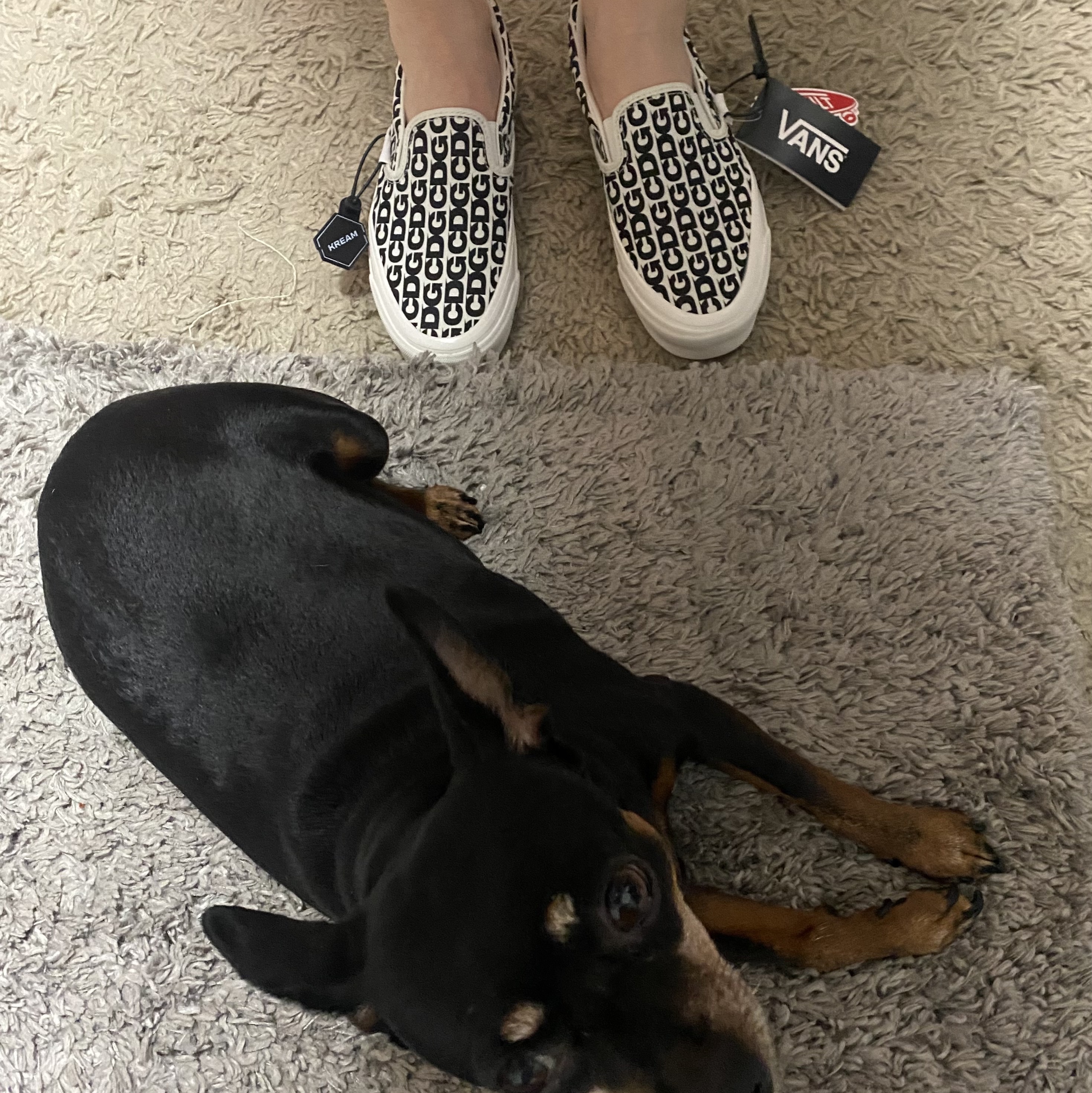 Vans Vault x CDG Slip-On LX White 착용 스타일