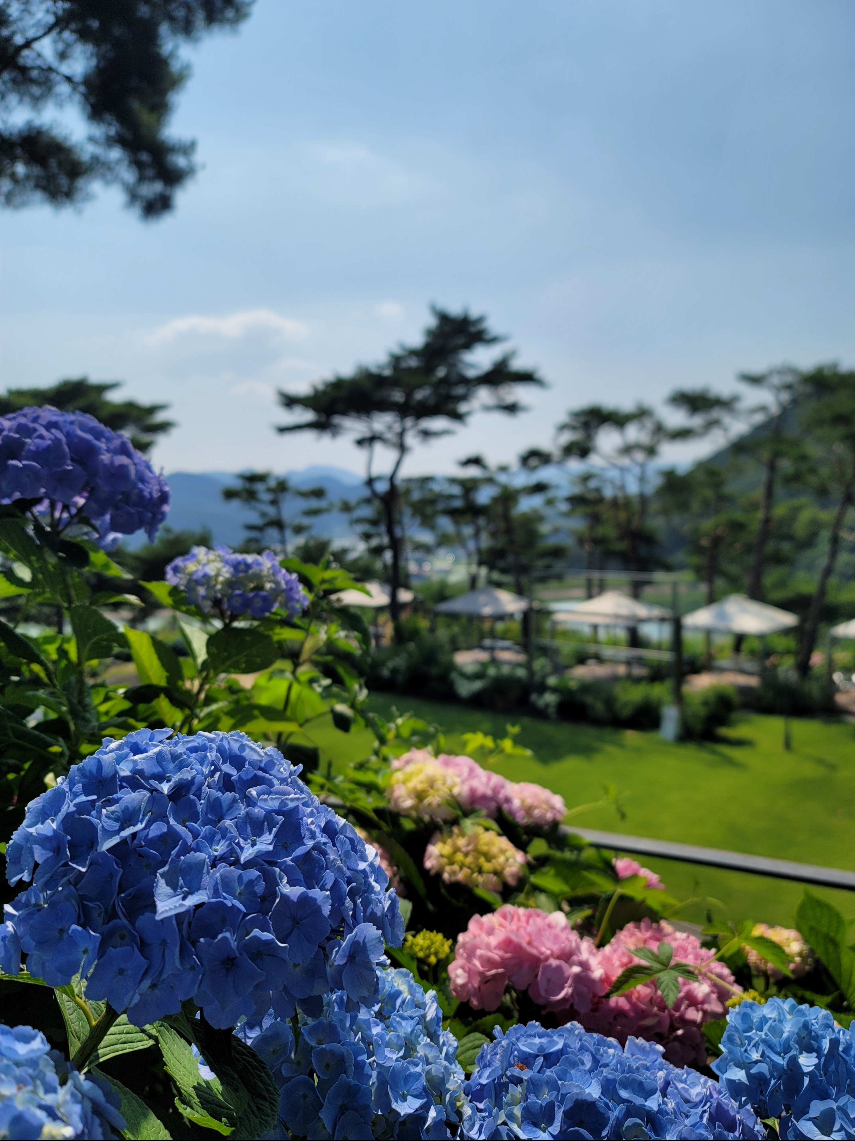 김병기님의 스타일 - 2