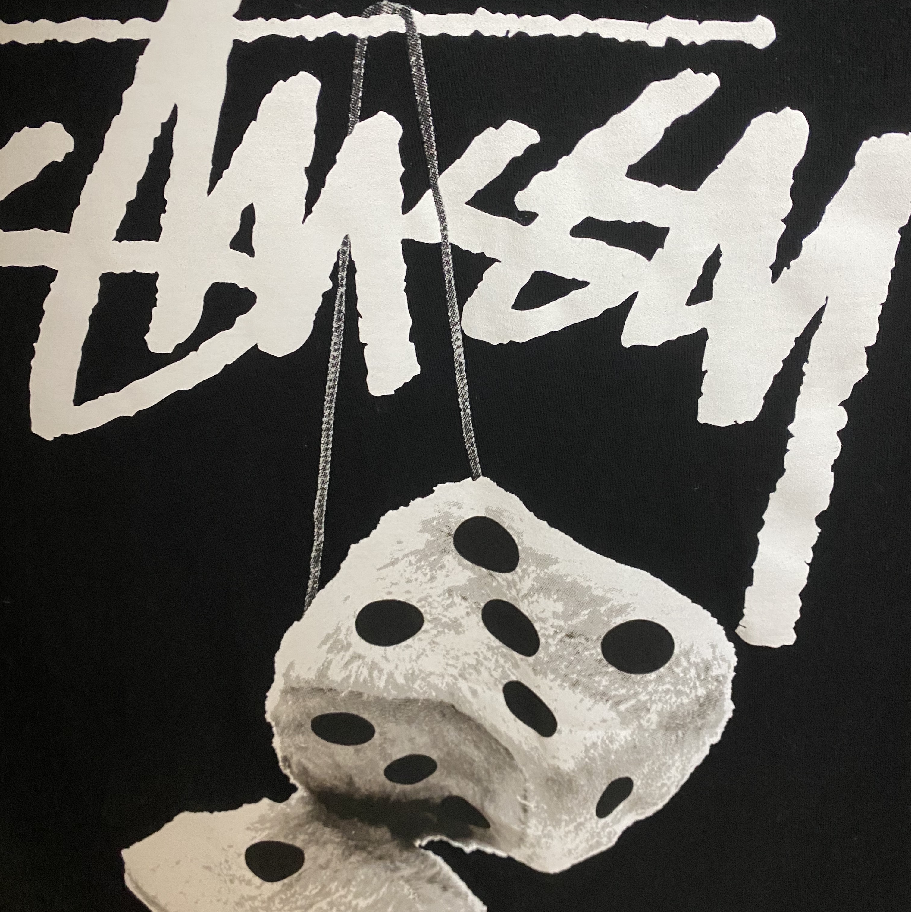 Stussy Fuzzy Dice T-Shirt Black 착용 스타일