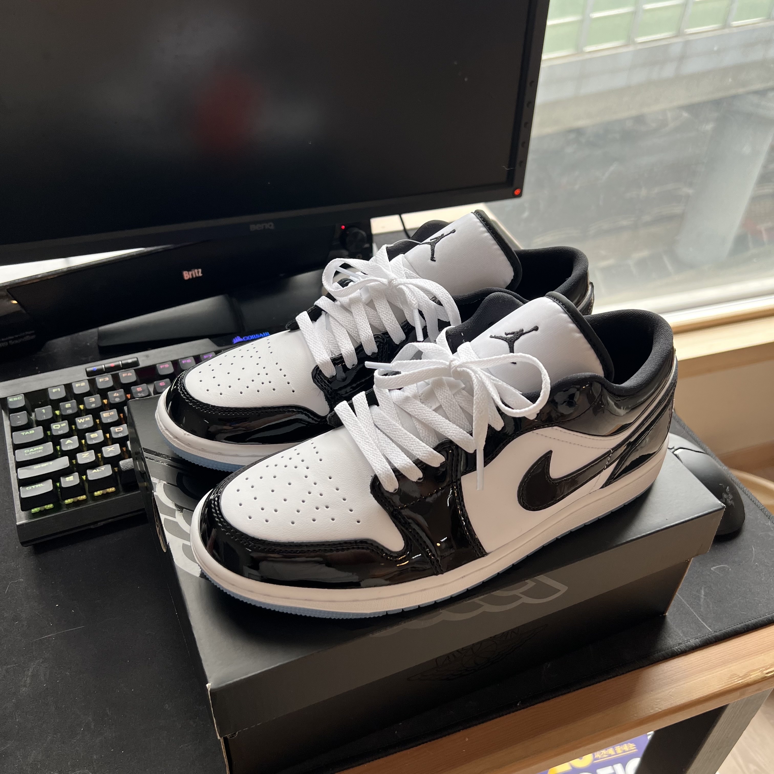 Jordan 1 Low SE Concord 착용 스타일