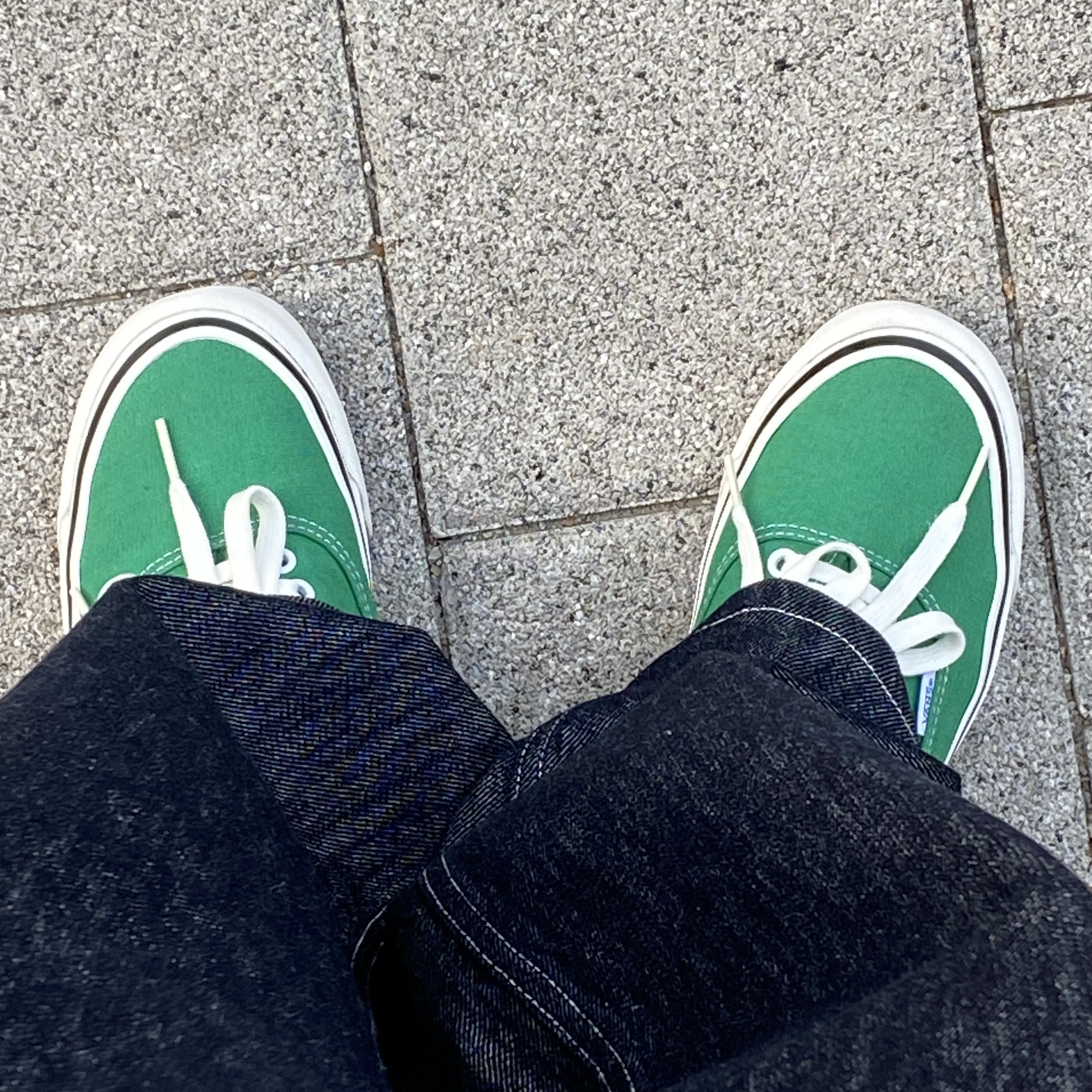 Vans Authentic 44 DX Anaheim Factory Emerald Green, Apple Watch Series 7 45mm Cellular Silver Stainless Steel Case with Sport Band Starlight (Korean Ver.) 착용 스타일 - 5