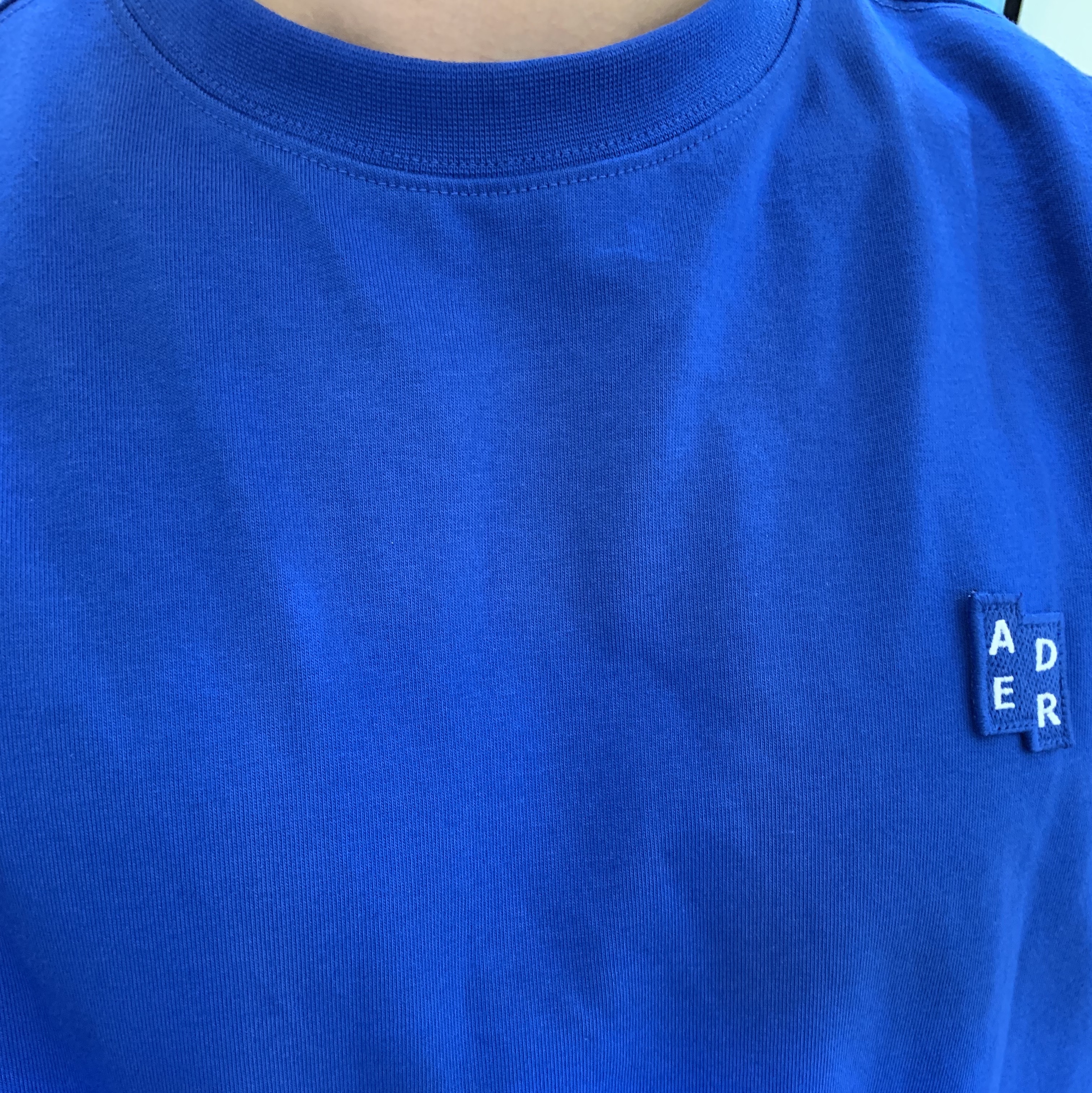 Ader Error Sig; TRS/BL Tag T-Shirt 01 Z-Blue 착용 스타일