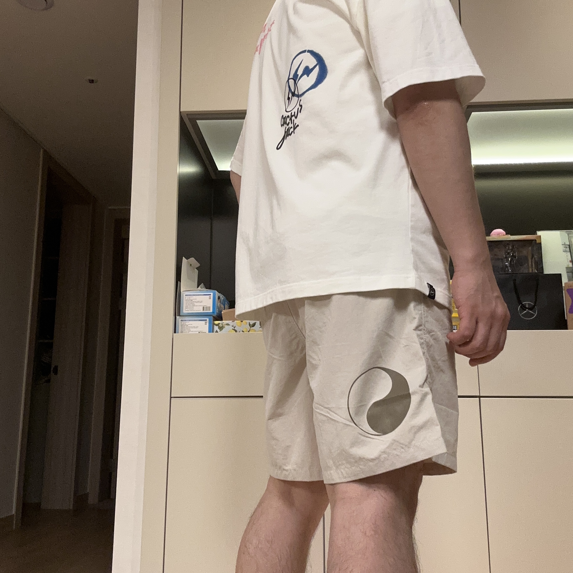 Stussy x Our Legacy Work Shop Water Shorts Taupe, Jordan x Travis Scott x Fragment T-Shirt Sail (DJ0619-133) 착용 스타일 - 3