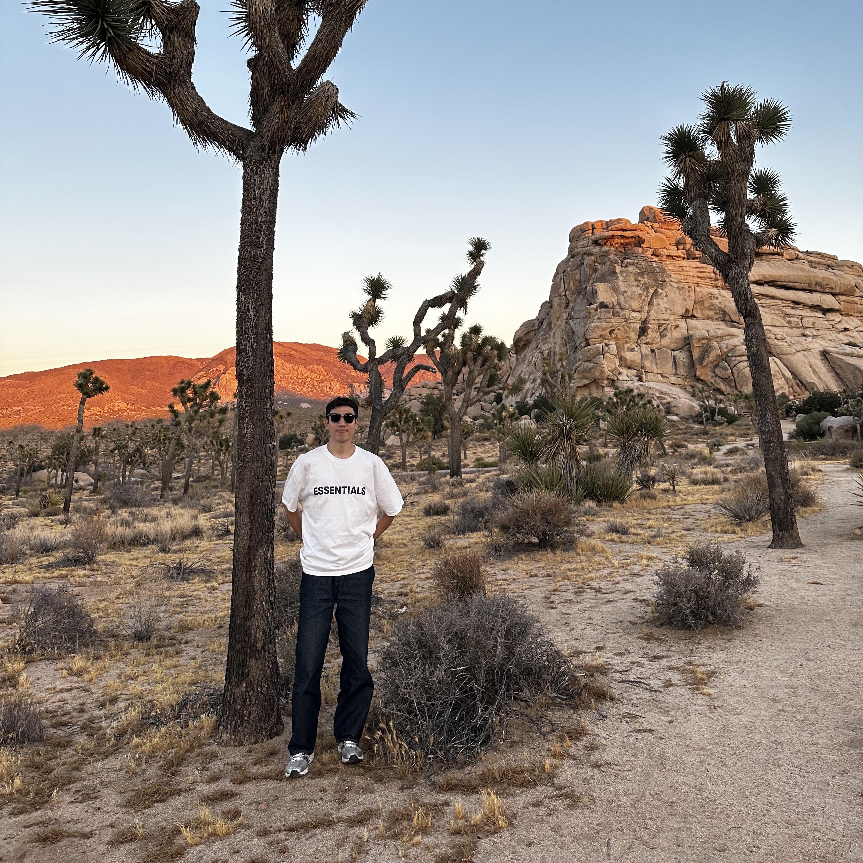 ์์
์ด๋ฏธ์ง