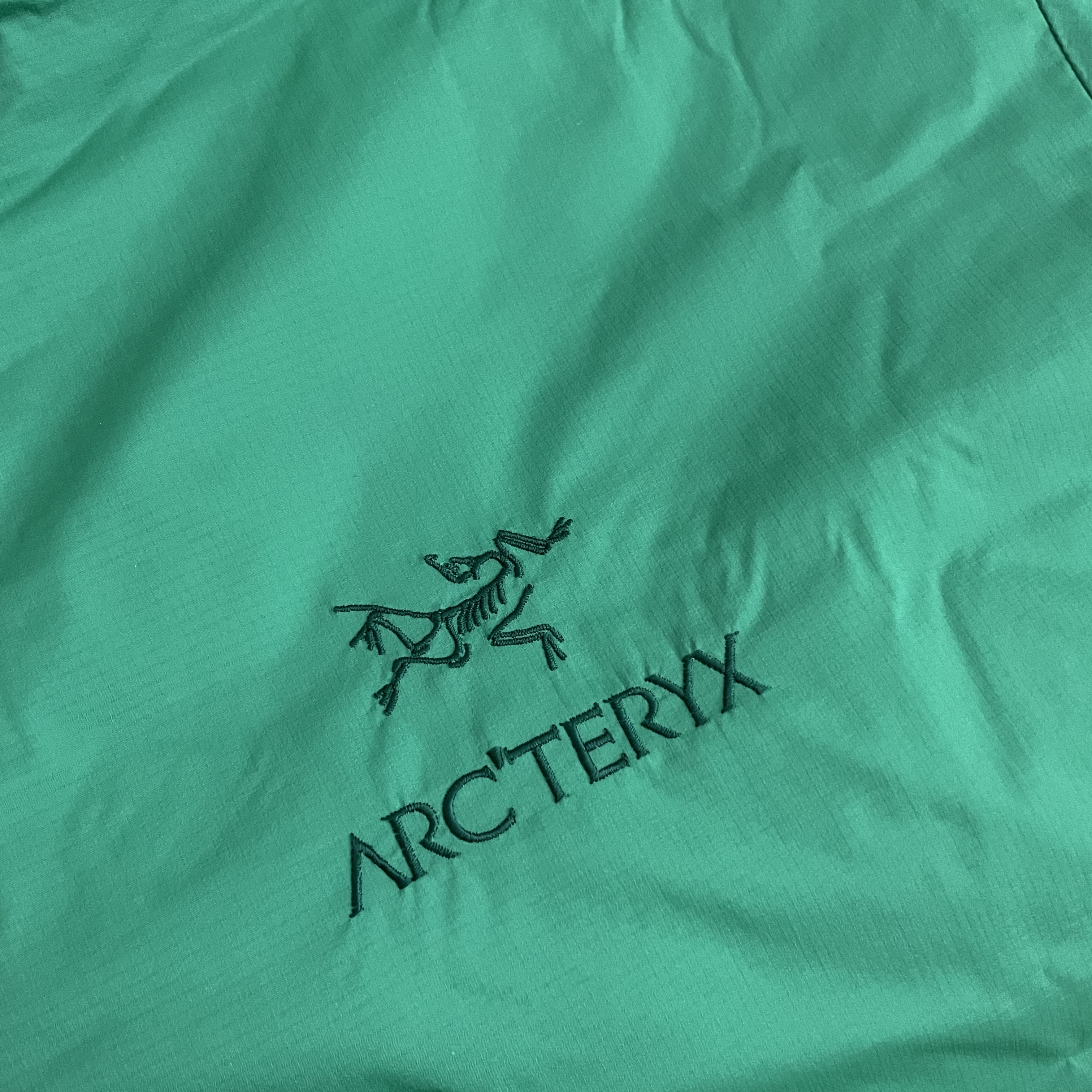 Arc'teryx Atom LT Hoody Jungle 착용 스타일 - 2