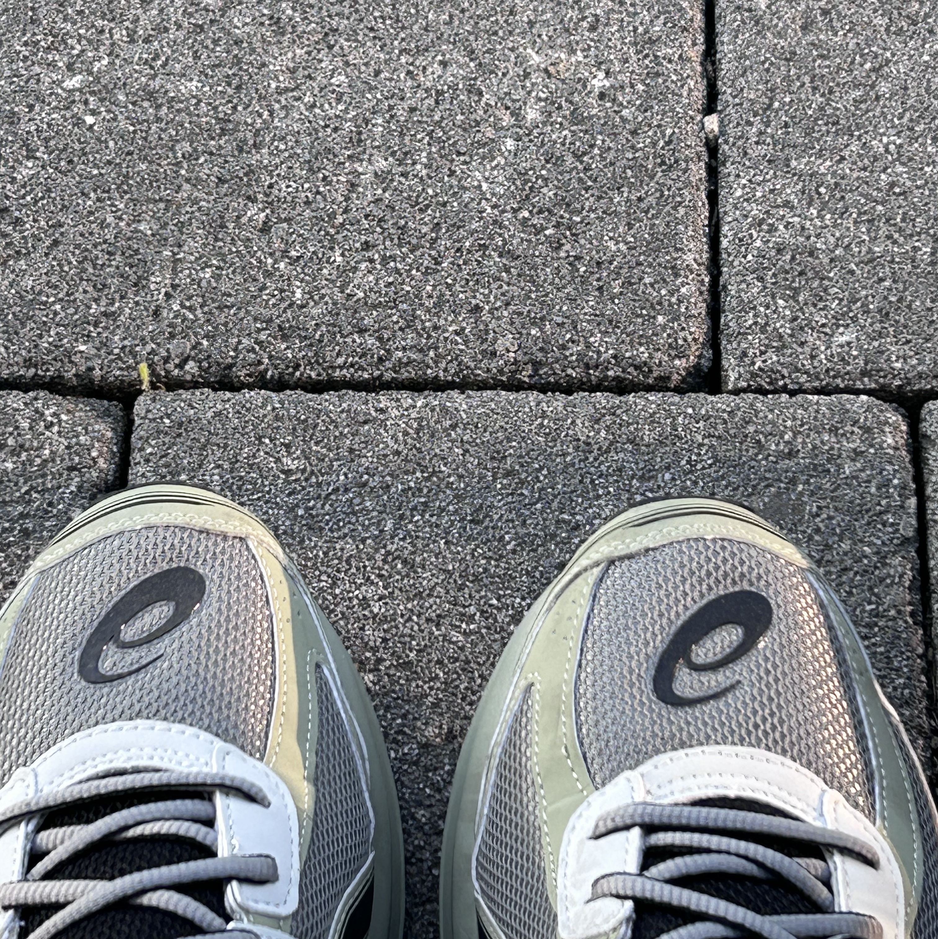 Asics Jog 100 S Sheet Rock - 2E Wide 착용 스타일 - 3