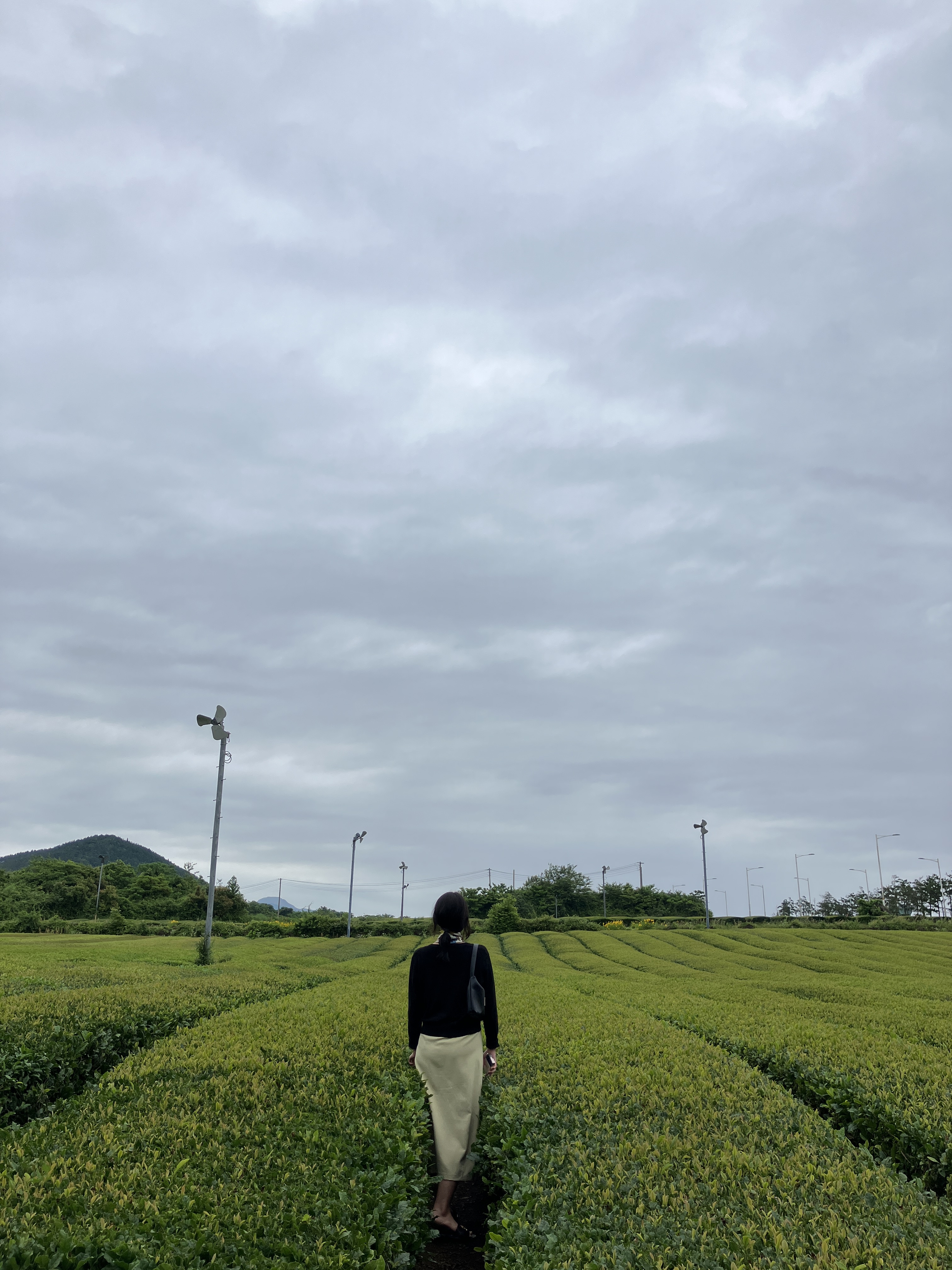 진보이님의 스타일