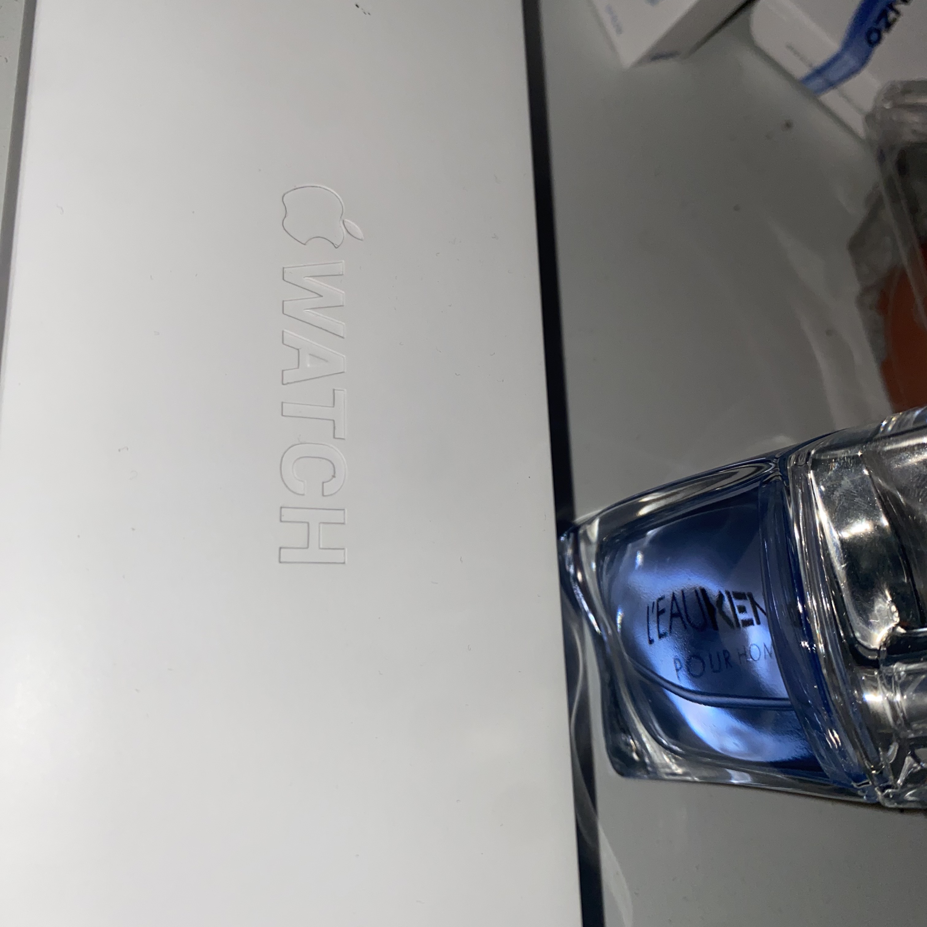 Apple Watch Hermes Series 8 45mm Silver Stainless Steel Case with Single Tour Noir (Korean Ver.) 착용 스타일