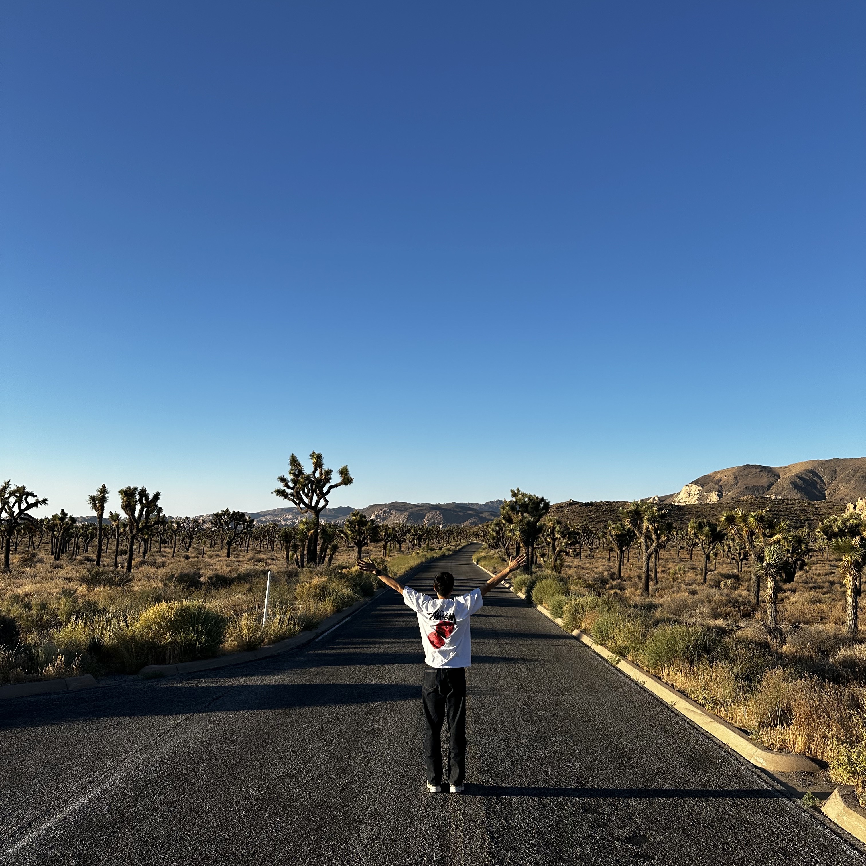 ์์
์ด๋ฏธ์ง