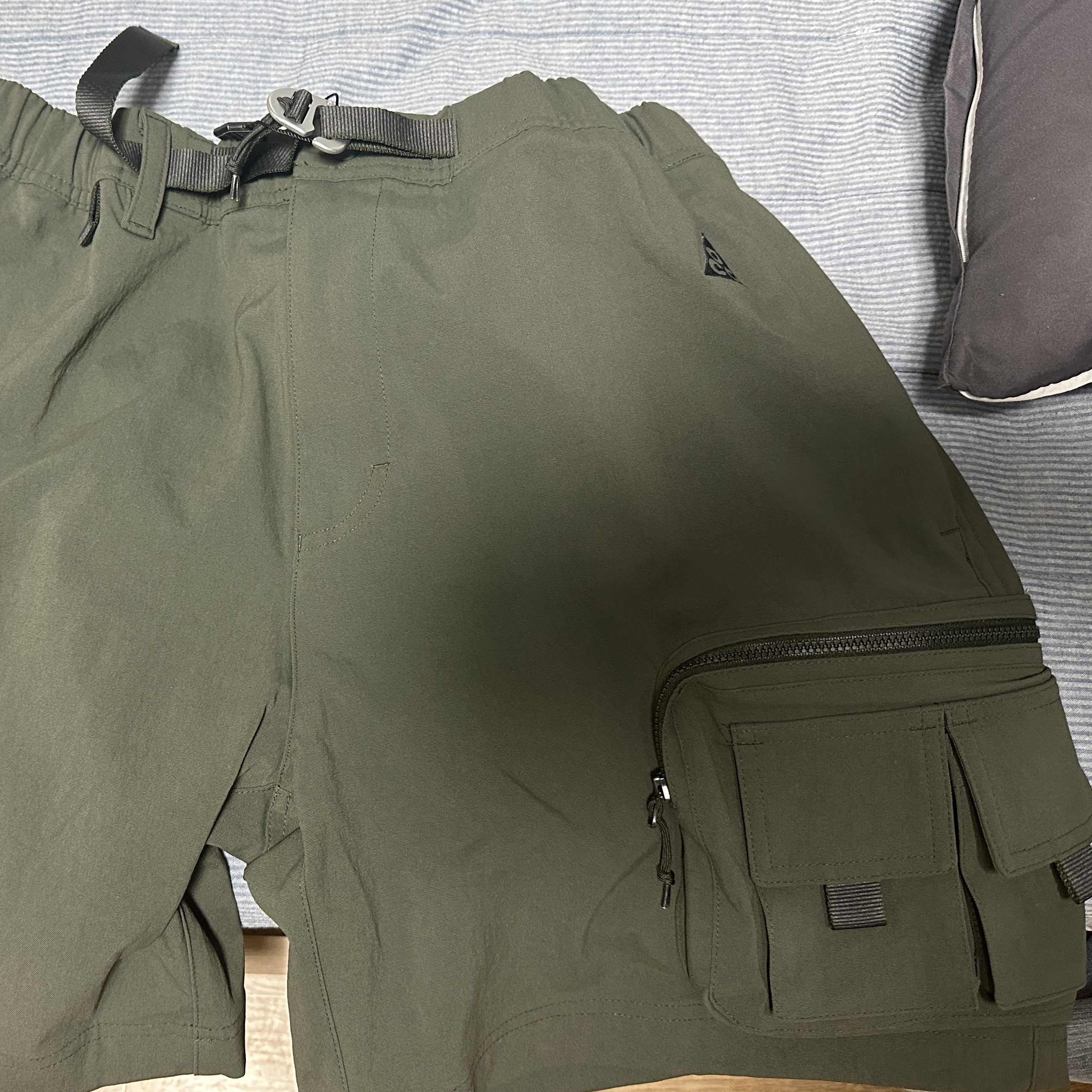 Nike ACG Cargo Shorts Sequoia - Asia 착용 스타일