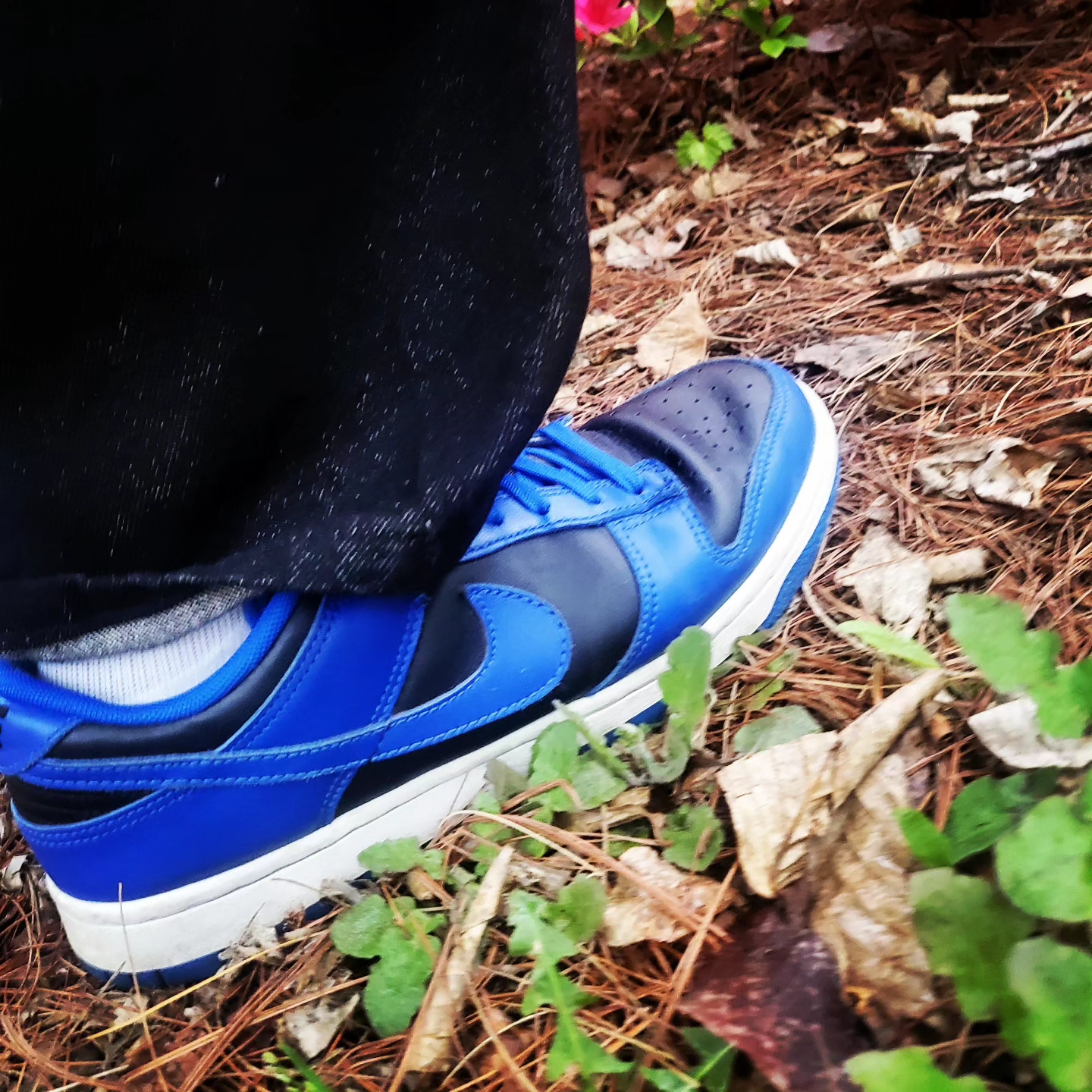 Adidas Yeezy Slide Azure, Jordan 4 Retro Thunder 2023 착용 스타일 - 5