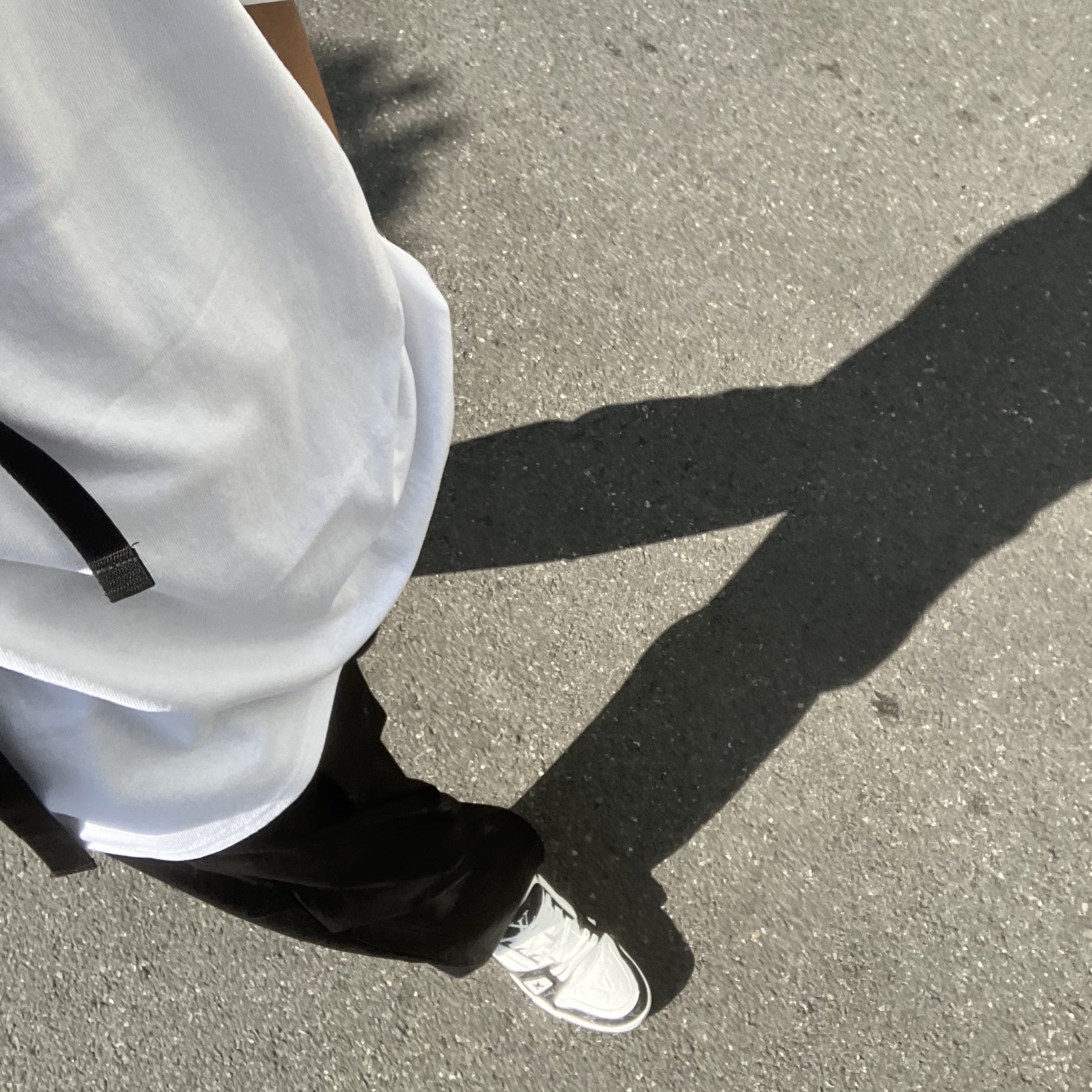 Louis Vuitton LV Trainer Sneakers Monogram Denim Black 착용 스타일