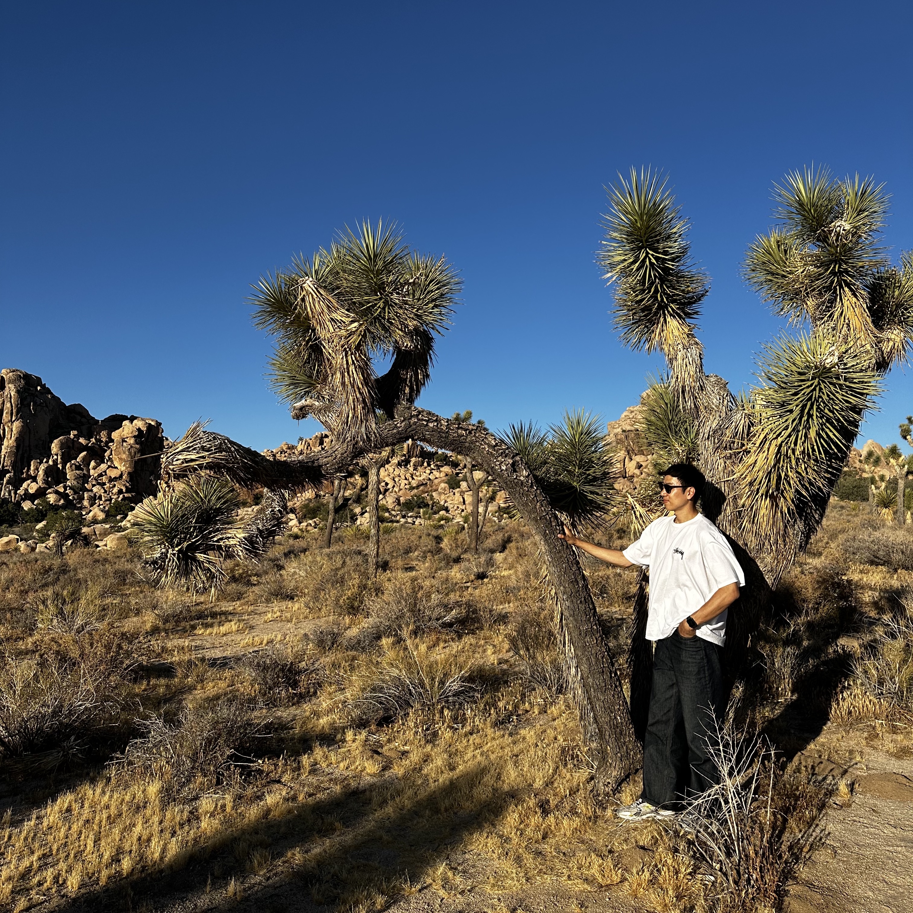 ์์
์ด๋ฏธ์ง