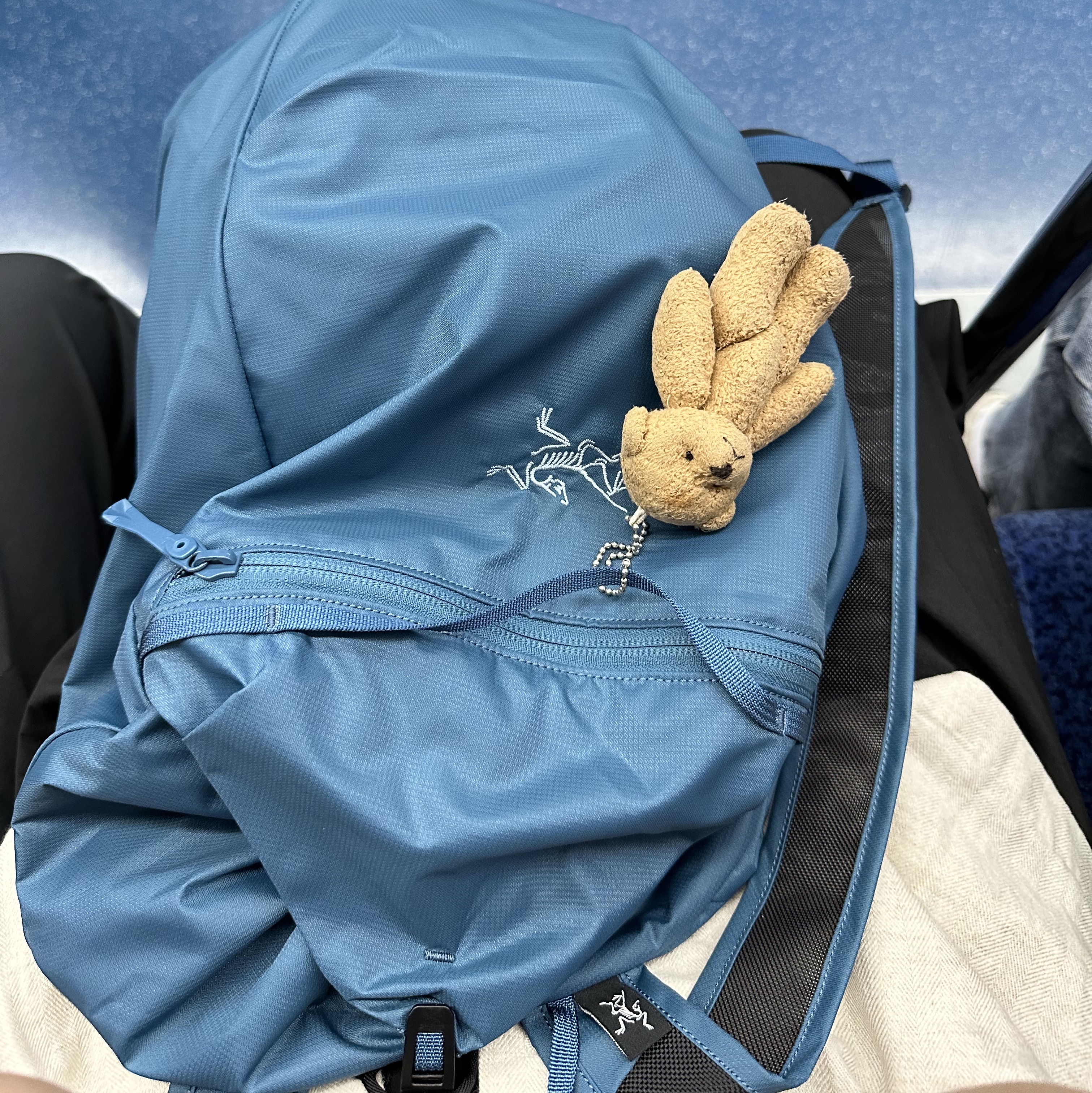 Arc'teryx Heliad 10 Backpack Serene 착용 스타일