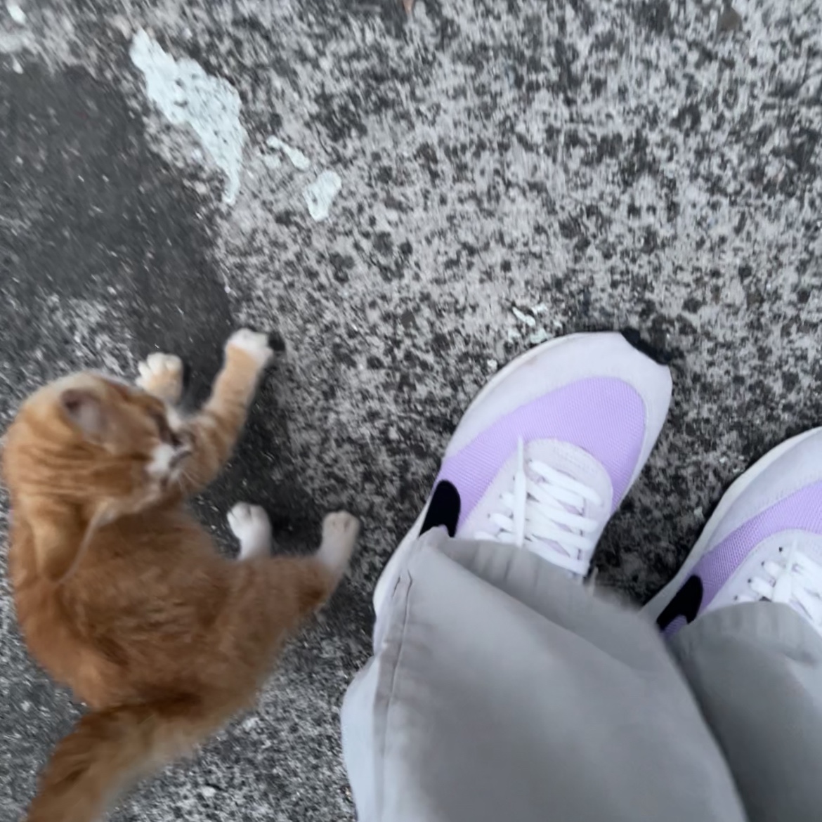 Nike Daybreak SP Lavender Mist 착용 스타일 - 1