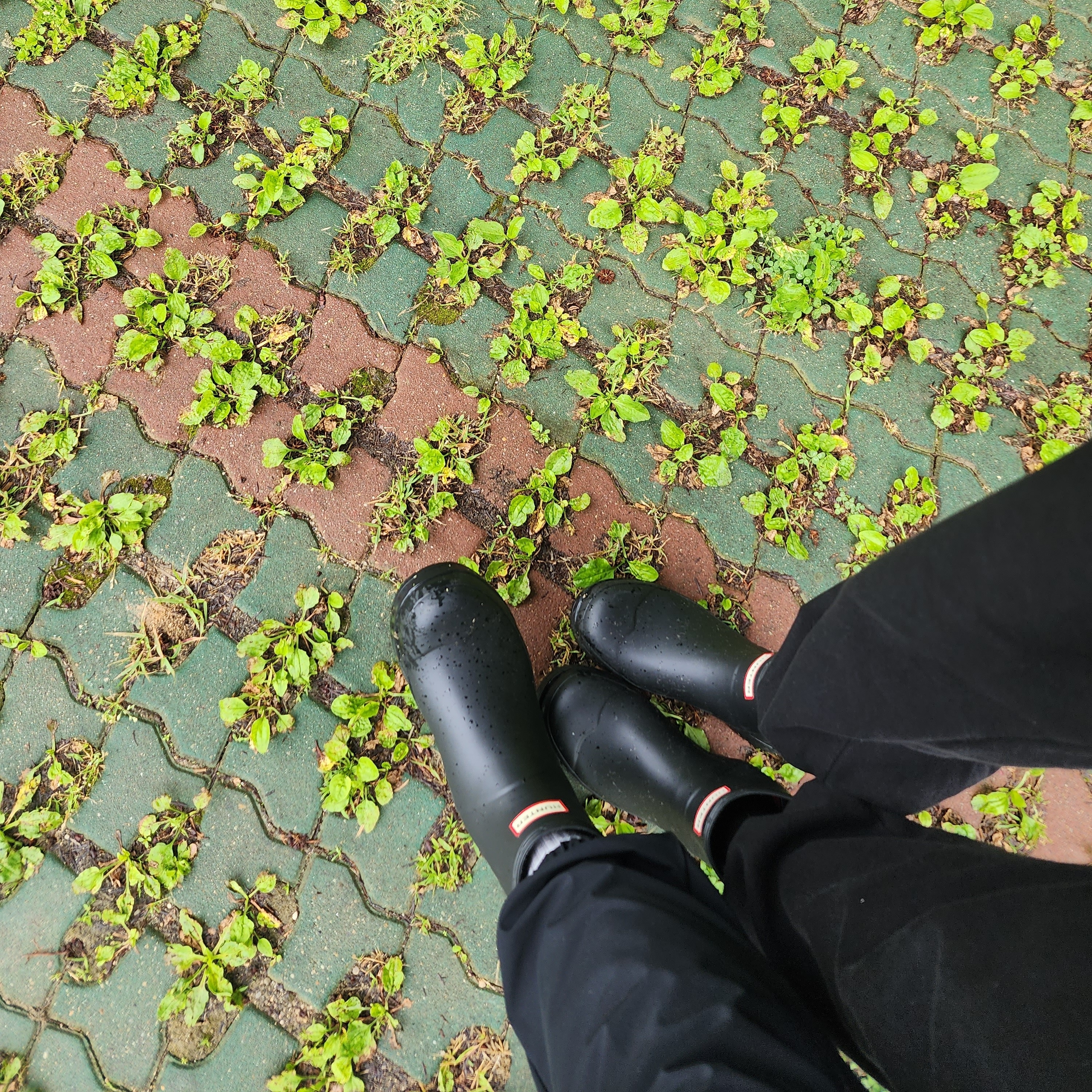 Hunter Play Short Wellington Boots Black 착용 스타일