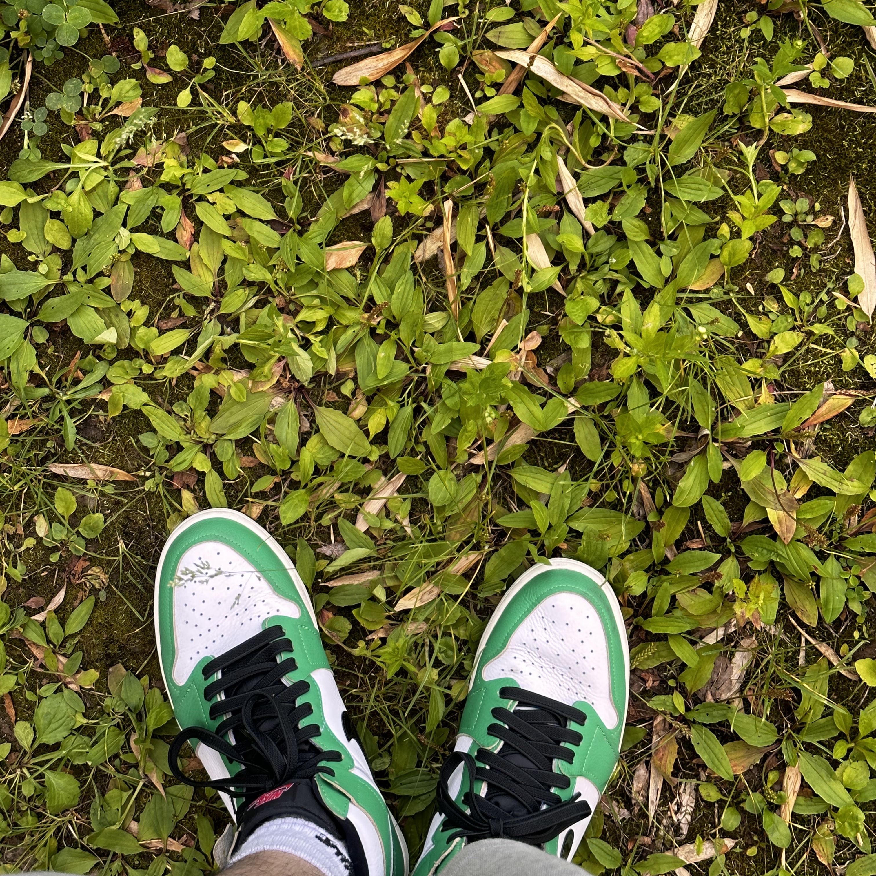 (W) Jordan 1 Retro High OG Lucky Green 착용 스타일