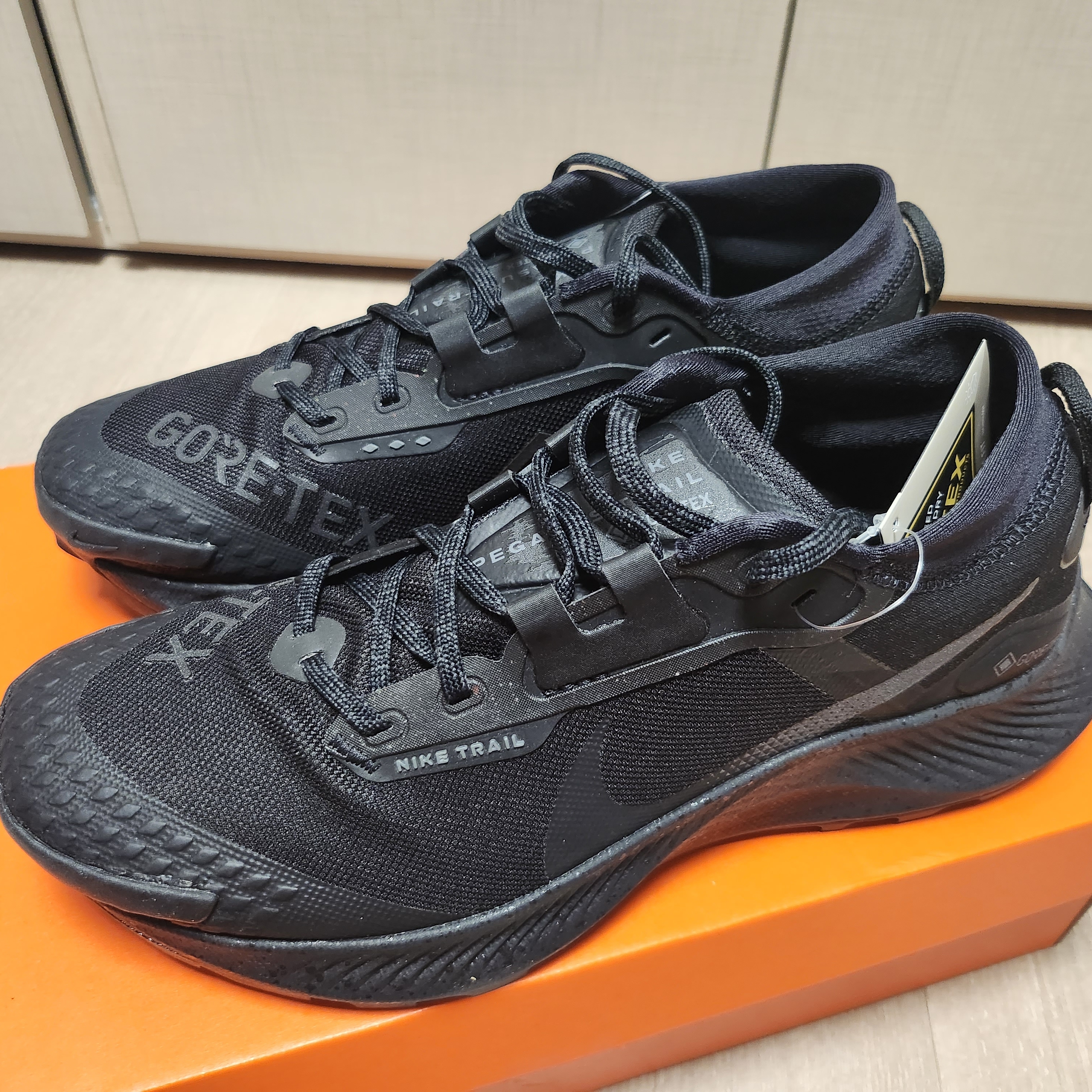 Nike Pegasus Trail 3 Gore-Tex Black Dark Smoke Grey 착용 스타일 - 2