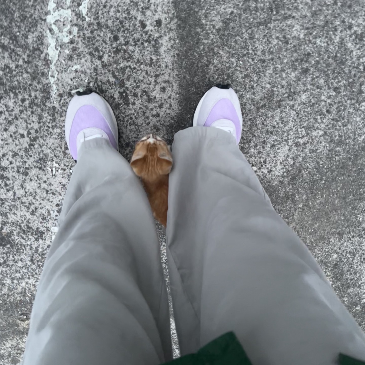 Nike Daybreak SP Lavender Mist 착용 스타일 - 2