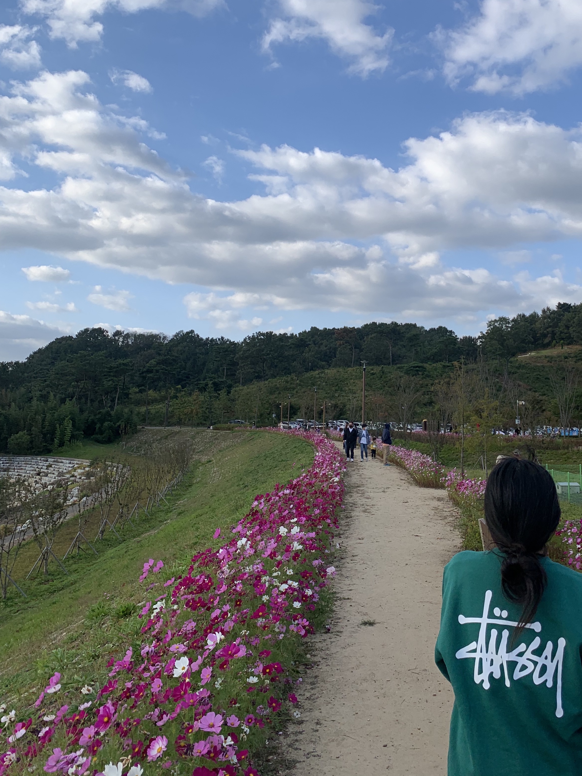 Stussy Basic Stussy Crew Green 2022 착용 스타일