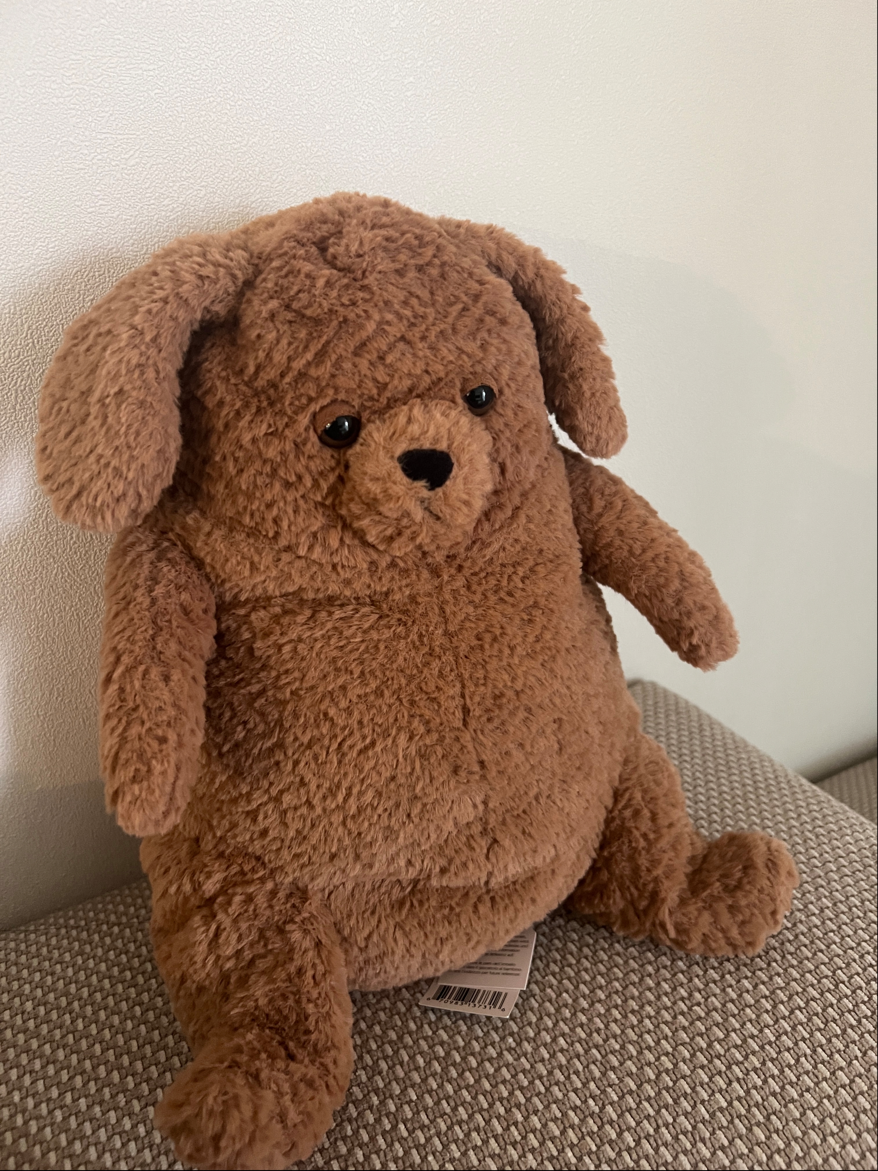 Jellycat Amore Dog Brown 착용 스타일 - 2