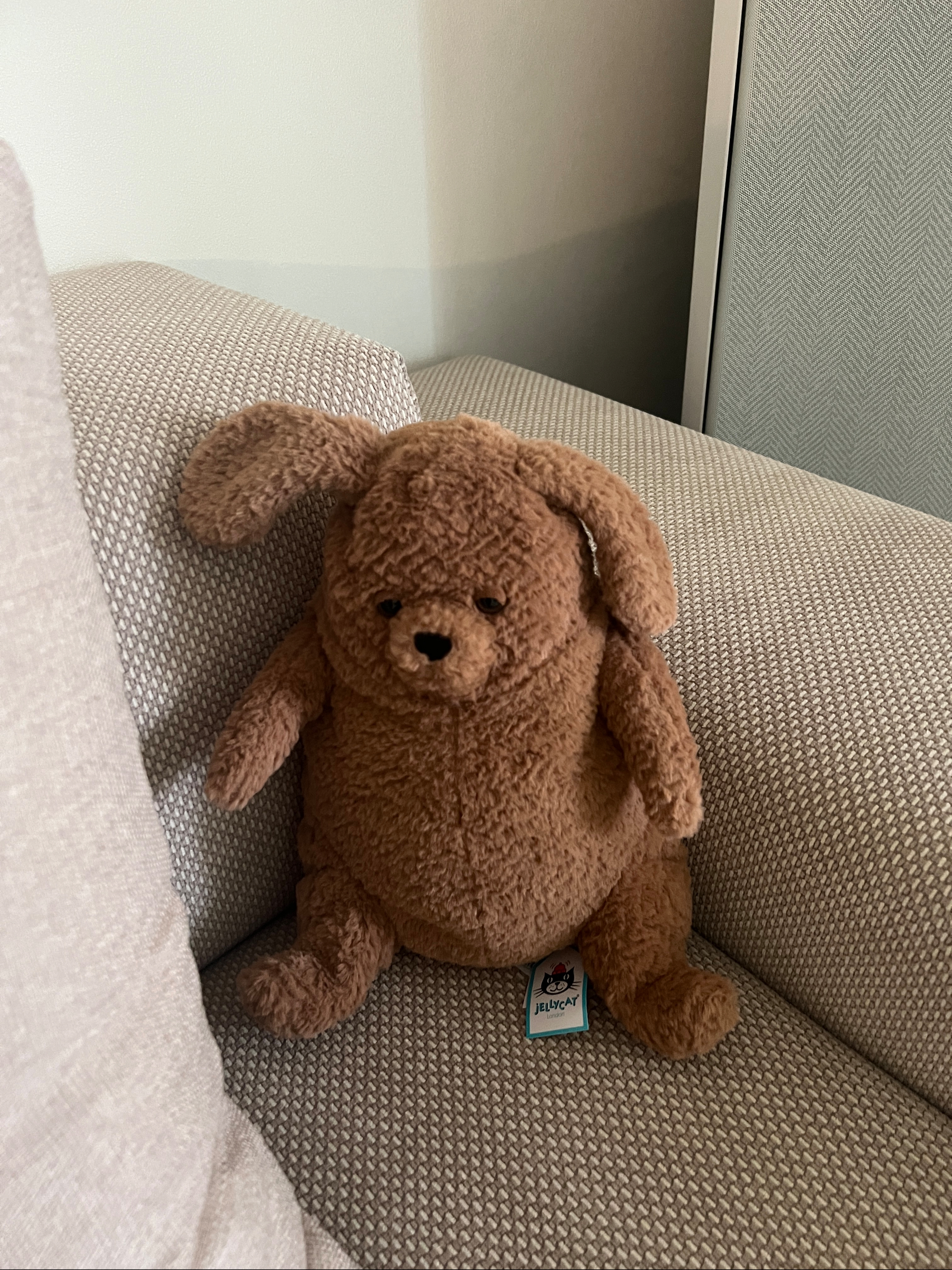 Jellycat Amore Dog Brown 착용 스타일 - 1