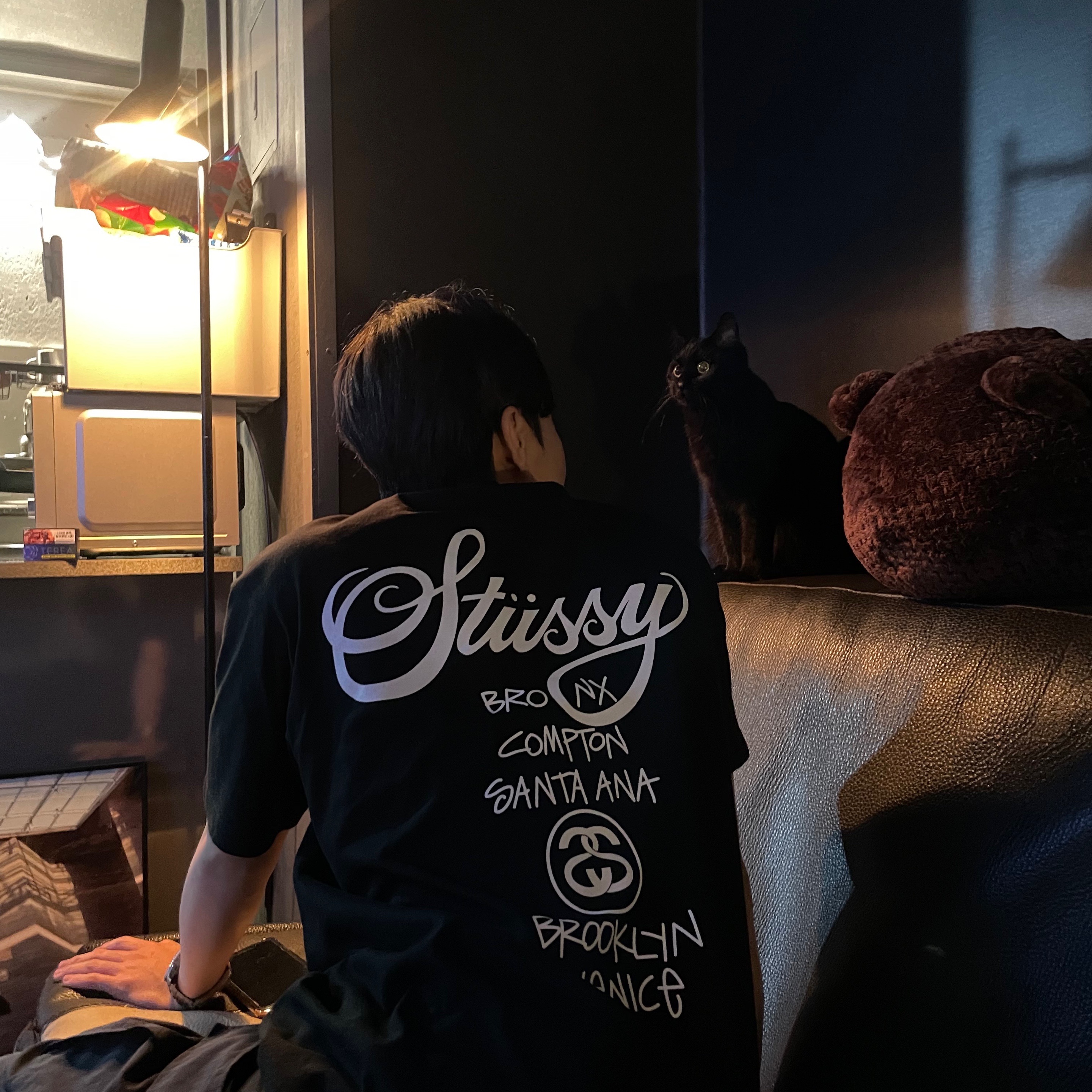 Jordan 1 Mid Light Smoke Grey, Stussy World Tour T-Shirt Black 2023 착용 스타일 - 3