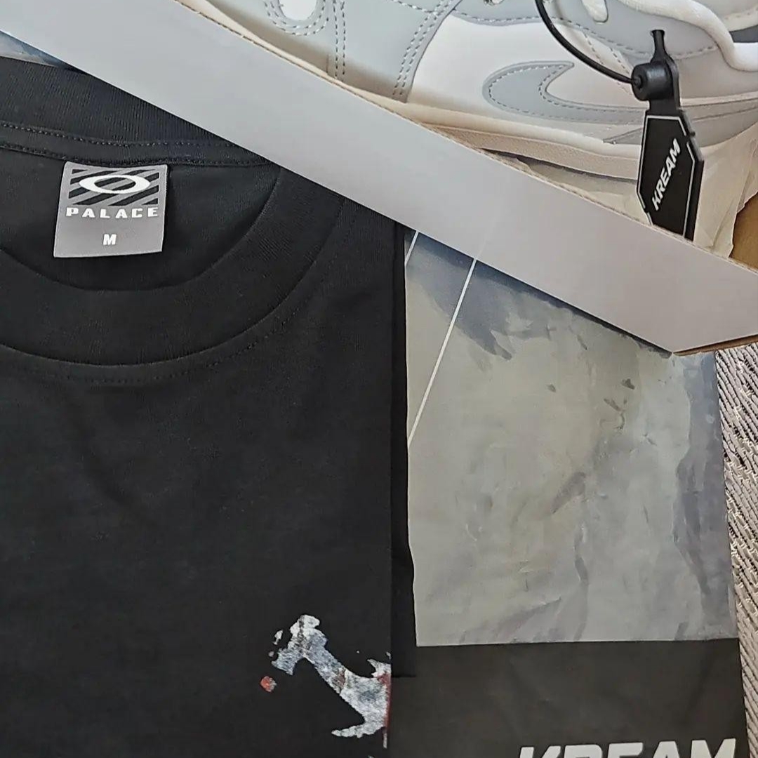 Palace x Oakley T-Shirt Black - 23SS, (W) Jordan 1 Low White Wolf Grey 착용 스타일