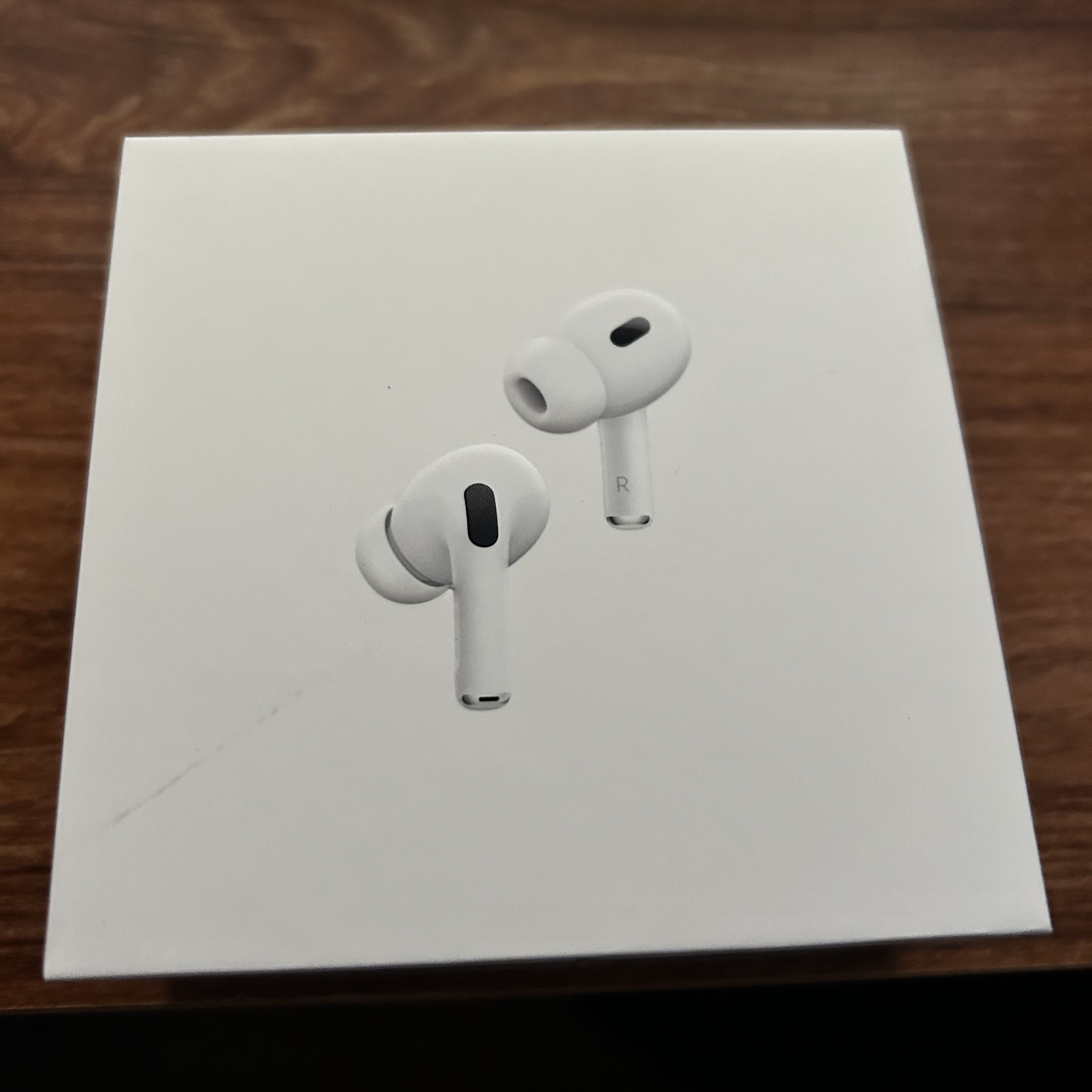 Apple AirPods Pro 2nd Gen (Korean Ver.) 착용 스타일