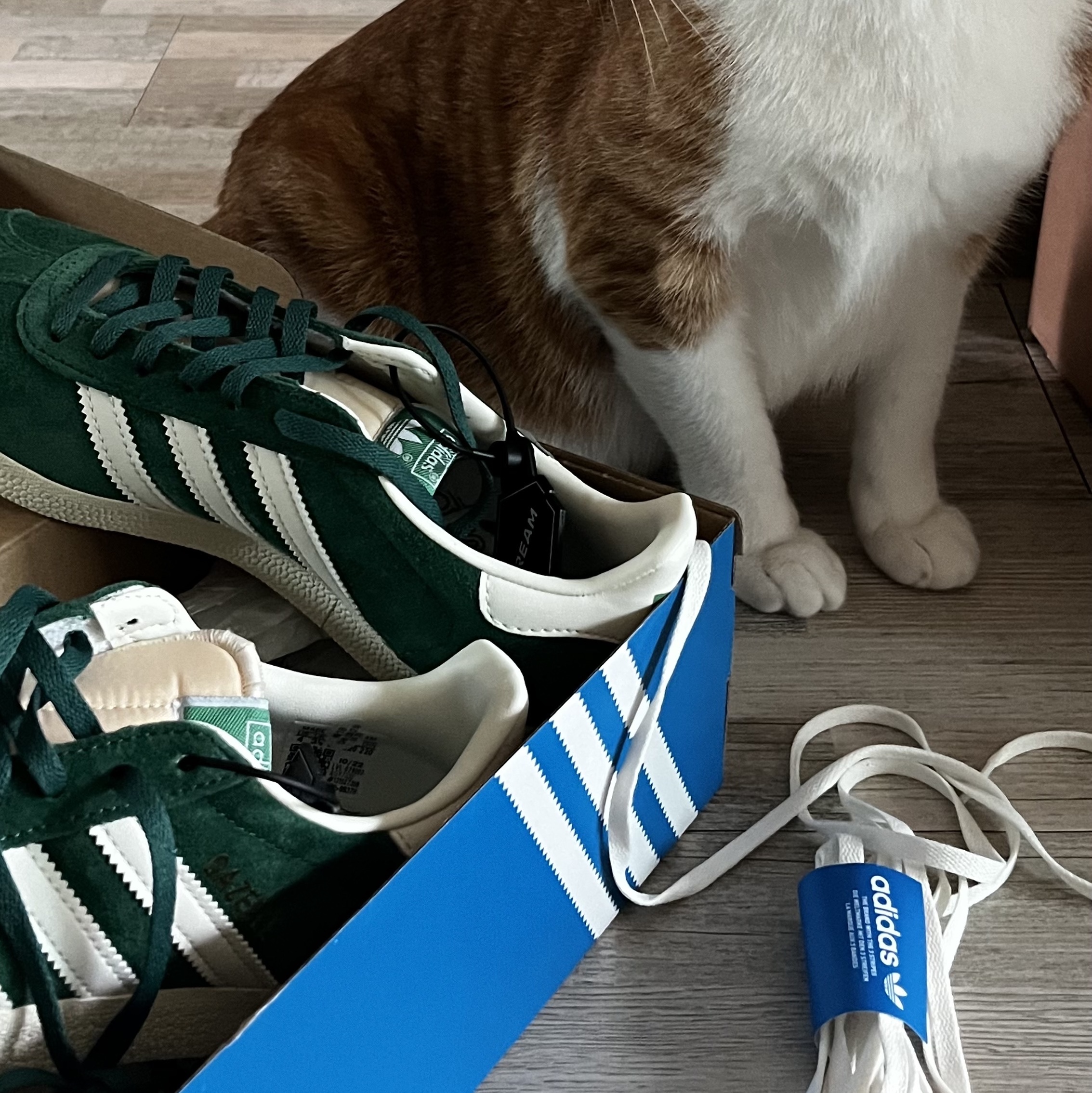 Adidas Gazelle Dark Green Cream White 착용 스타일 - 1