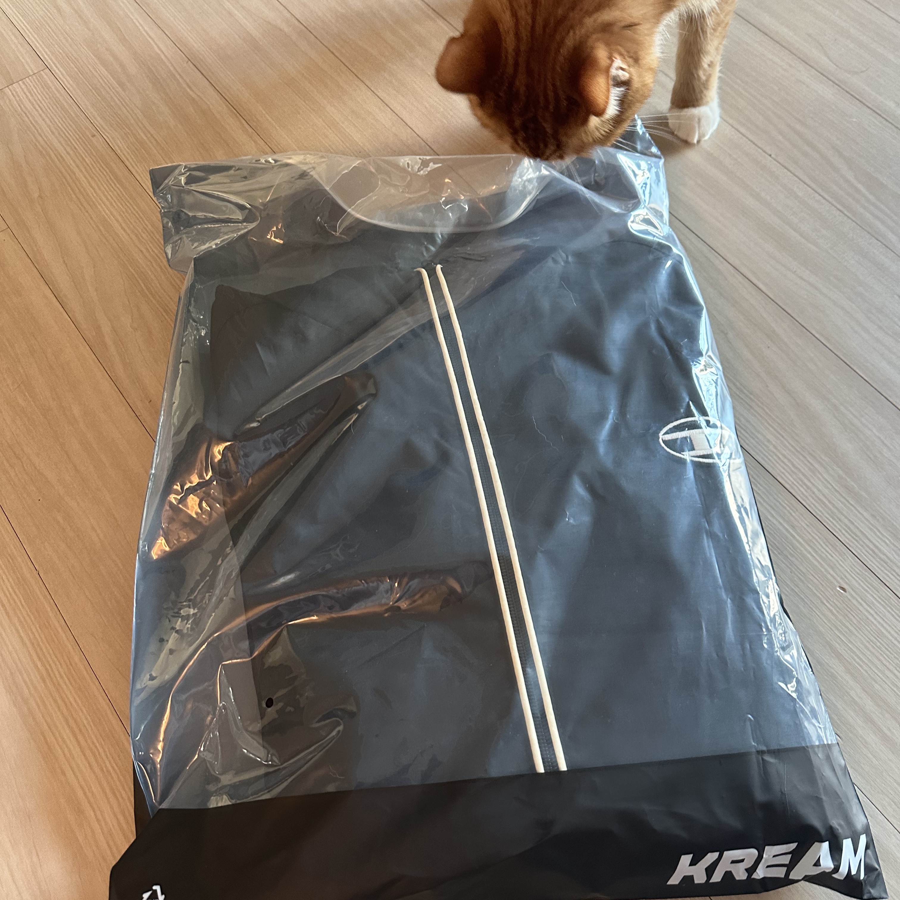 Diesel J-Hives Windbreaker with Contrast Piping Black 착용 스타일