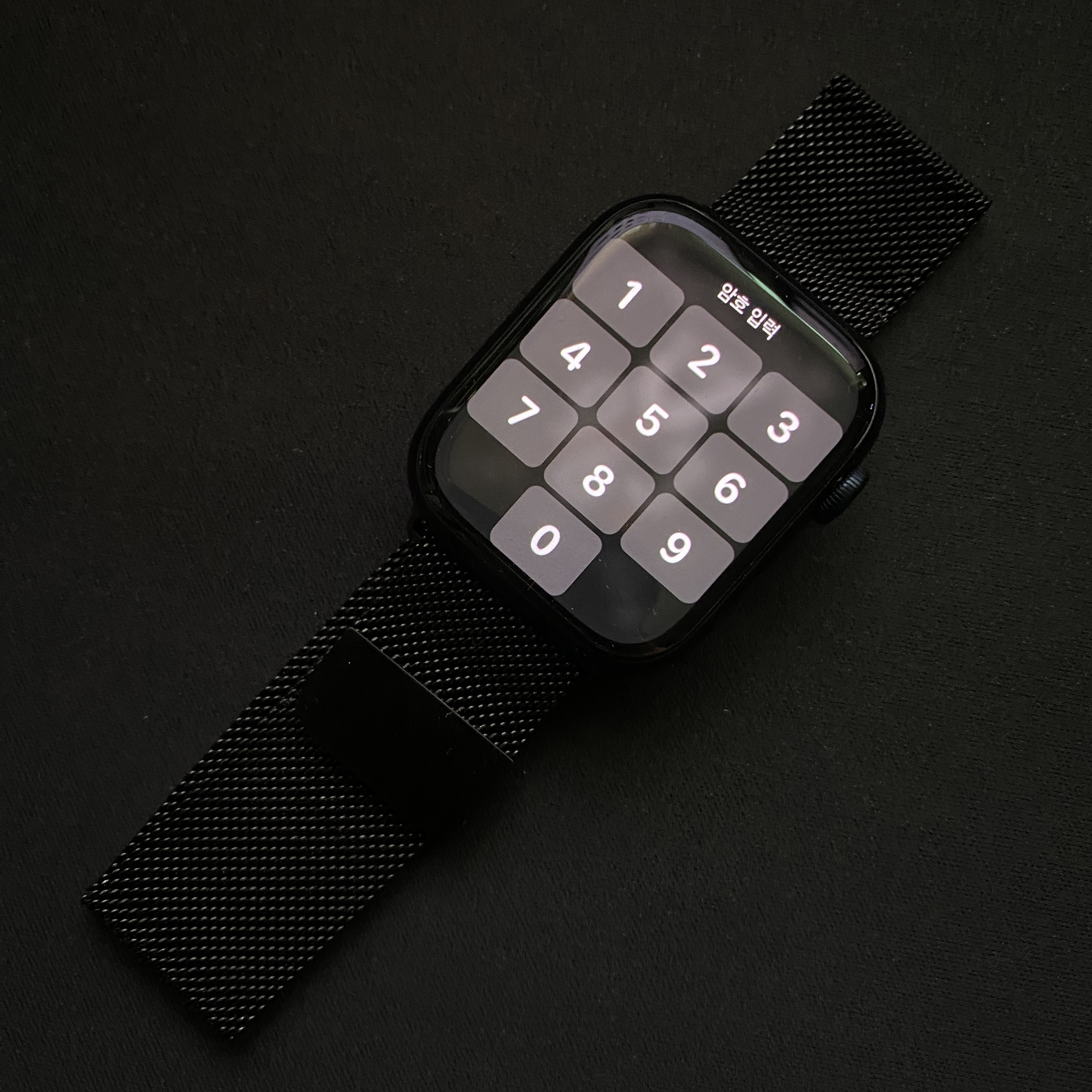 Apple Watch Series 8 45mm GPS Midnight Aluminium Case with Sport Band Midnight (Korean Ver.) 착용 스타일