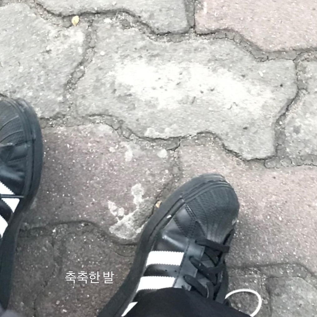 (J) Adidas Superstar Black White 착용 스타일