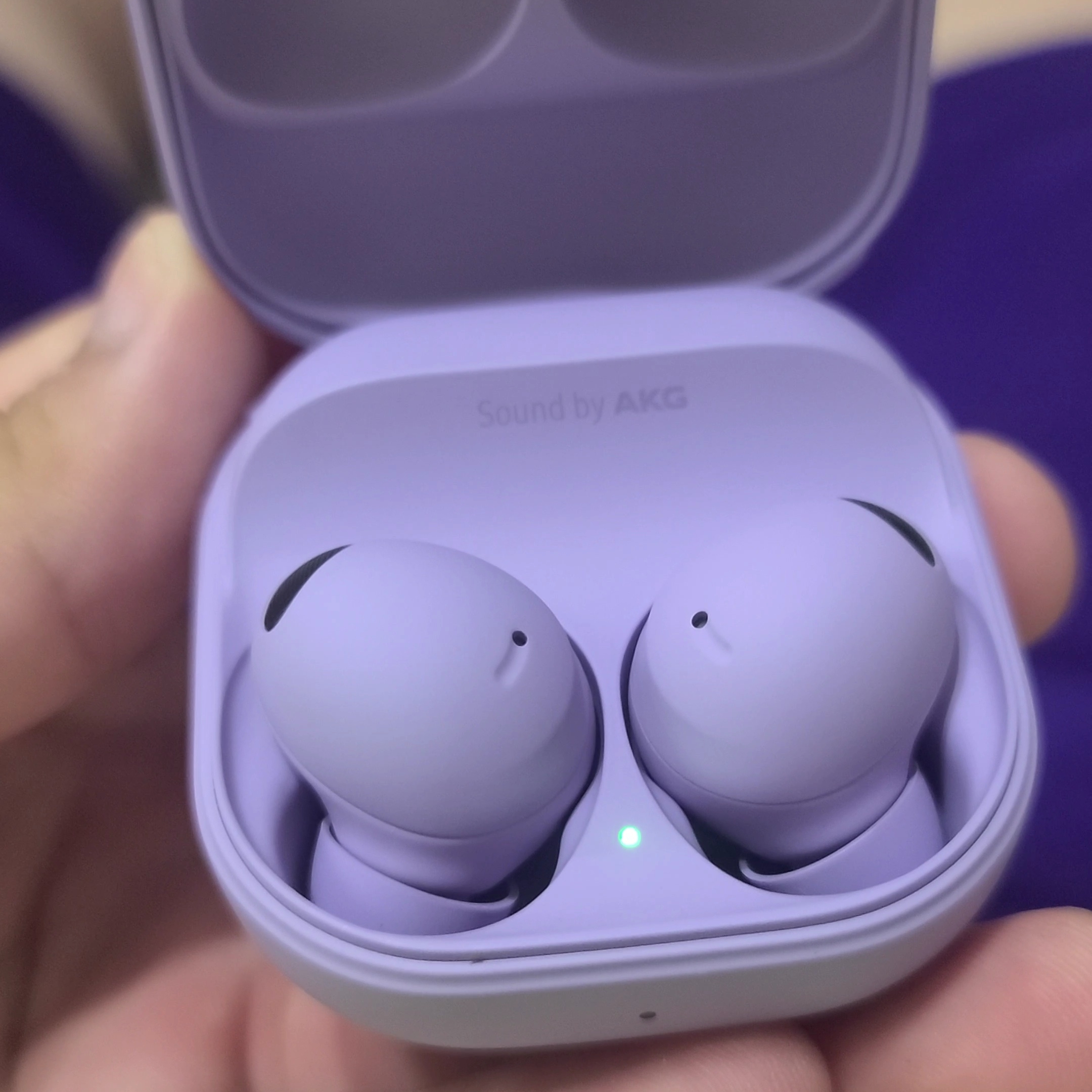 Samsung Galaxy Buds2 Pro Purple (Korean Ver.) 착용 스타일