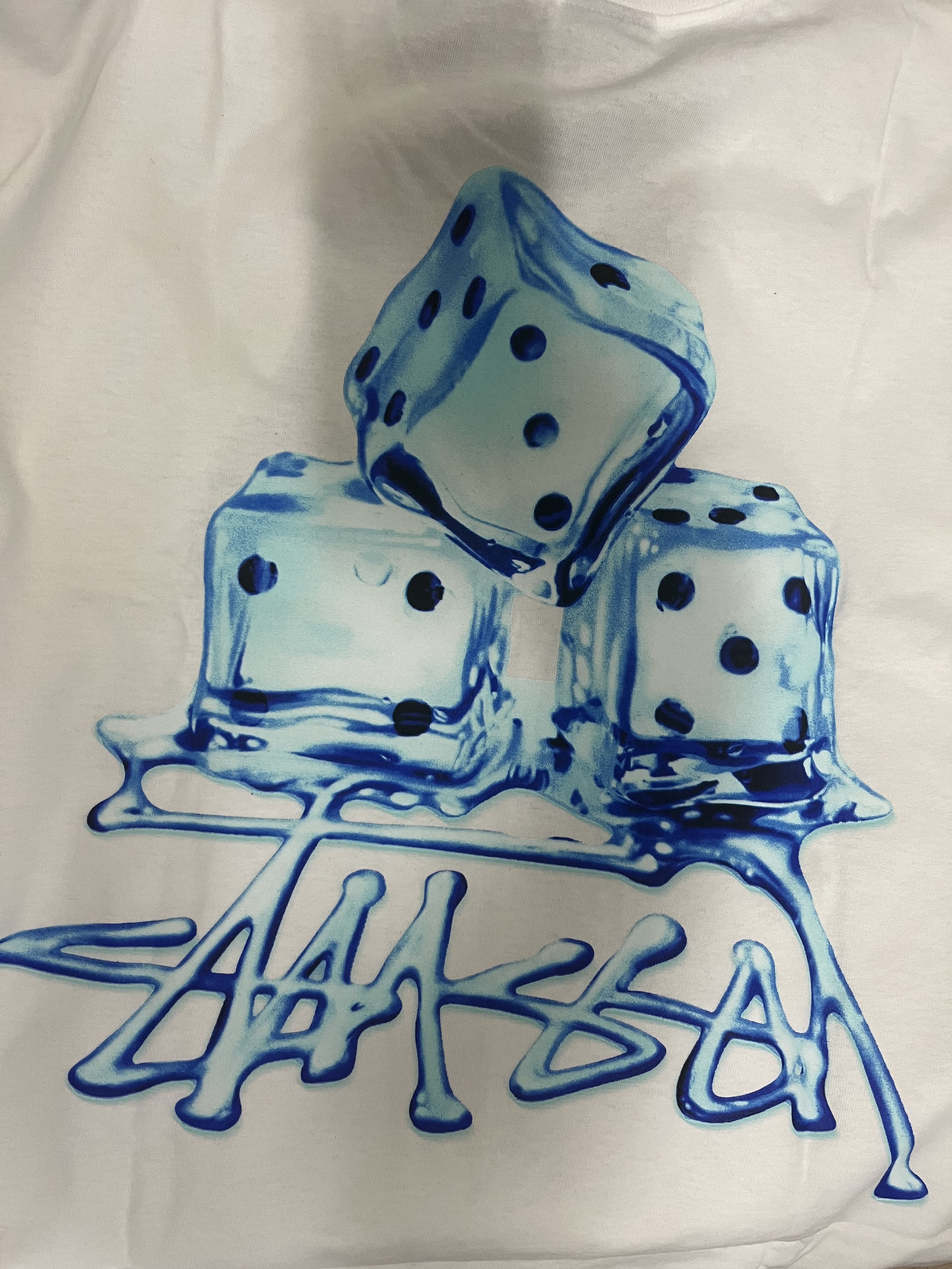Stussy Melted T-Shirt White 착용 스타일