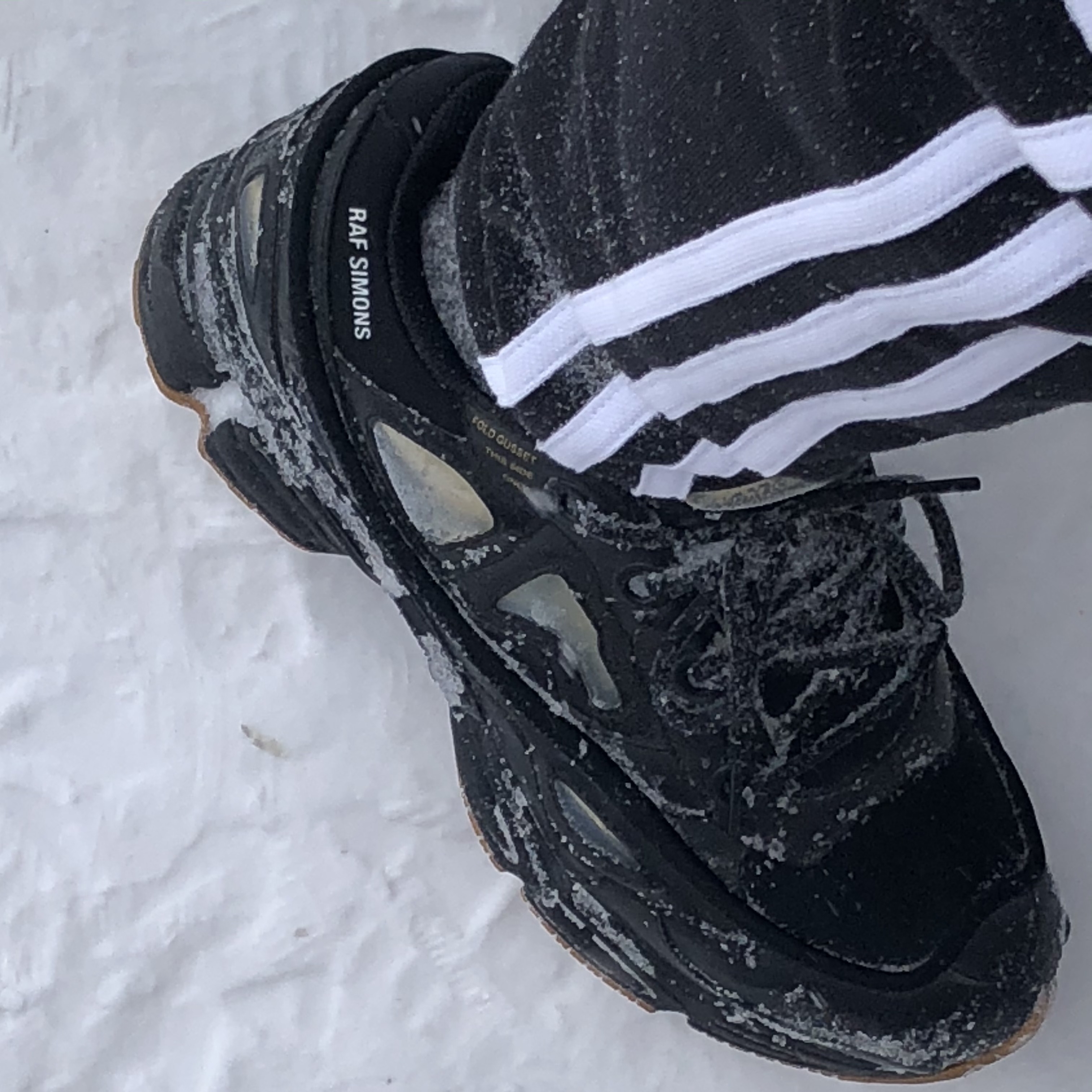 Adidas x Raf Simons Ozweego Bunny Core Black, Adidas 3-Stripes Pants Black - KR Sizing 착용 스타일