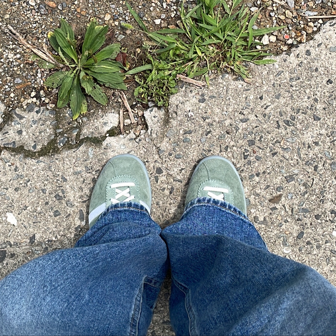 Adidas Tobacco Silver Green Pantone 착용 스타일