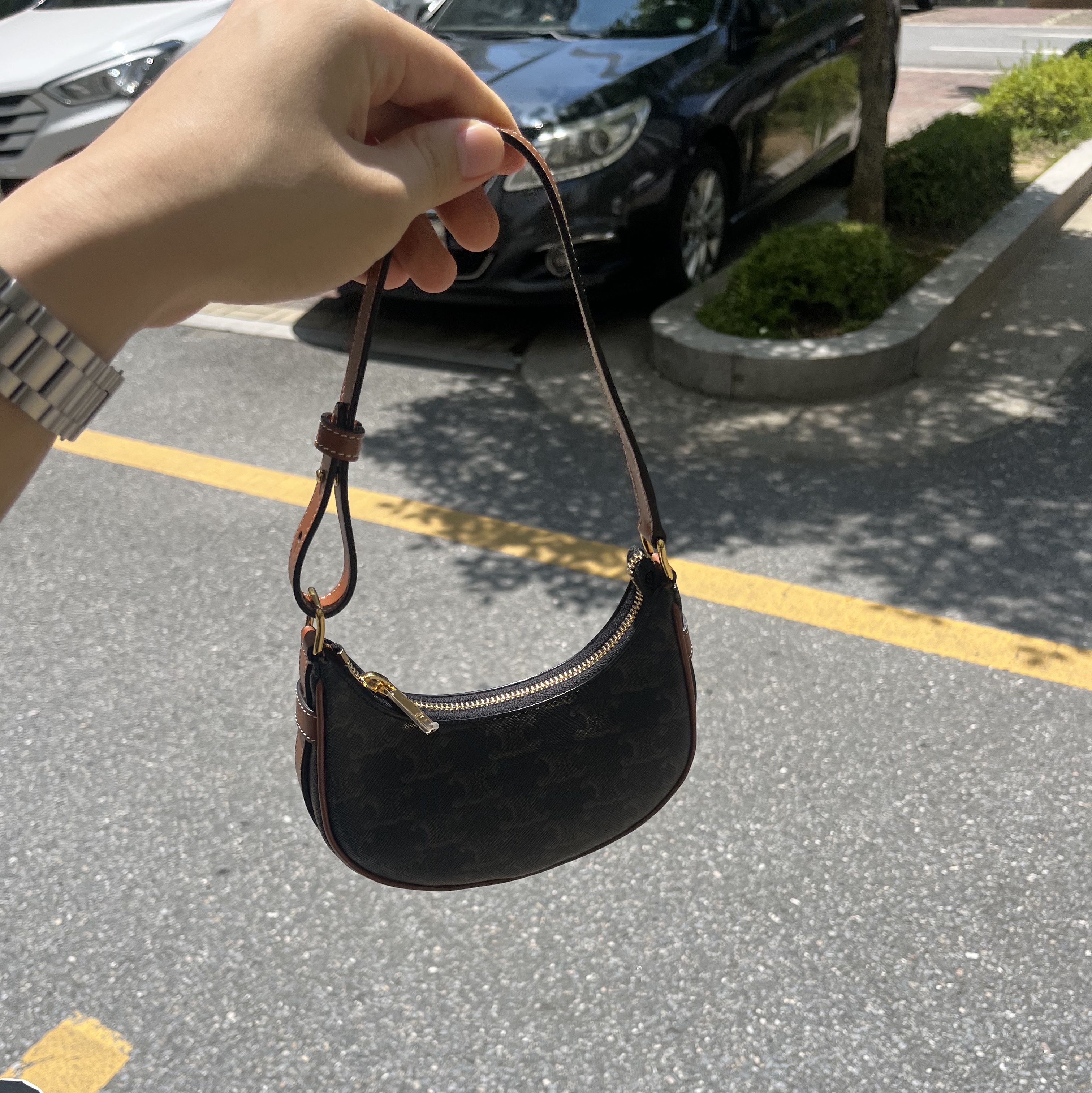 Celine Mini Ava in Triomphe Canvas and Calfskin Tan 착용 스타일