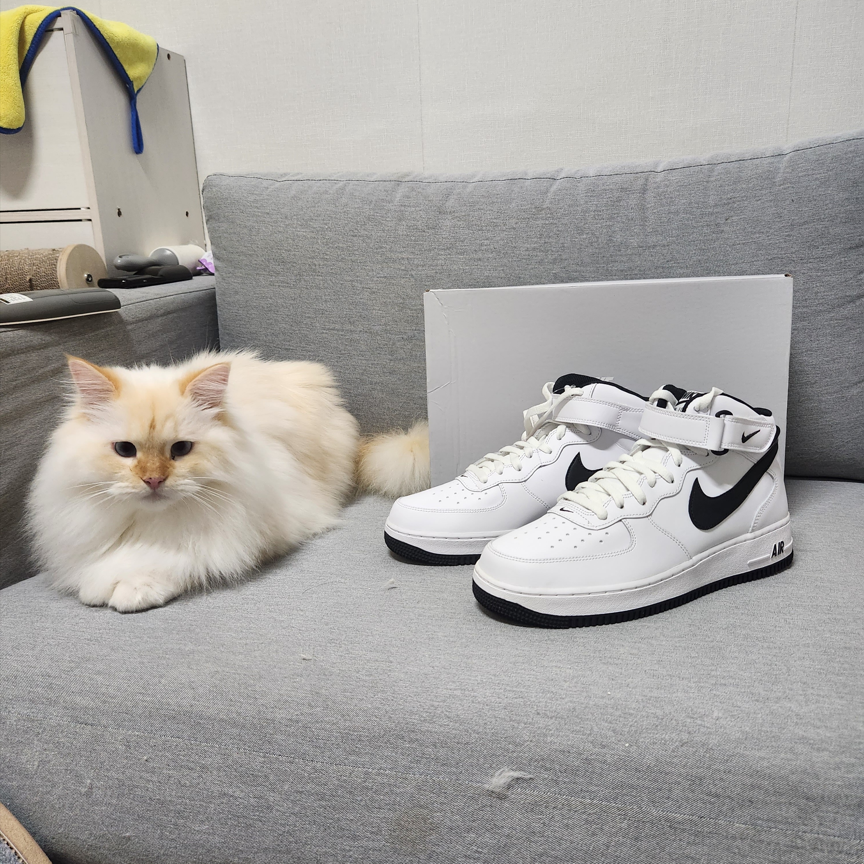 Nike Air Force 1 Mid '07 White Black 착용 스타일 - 2