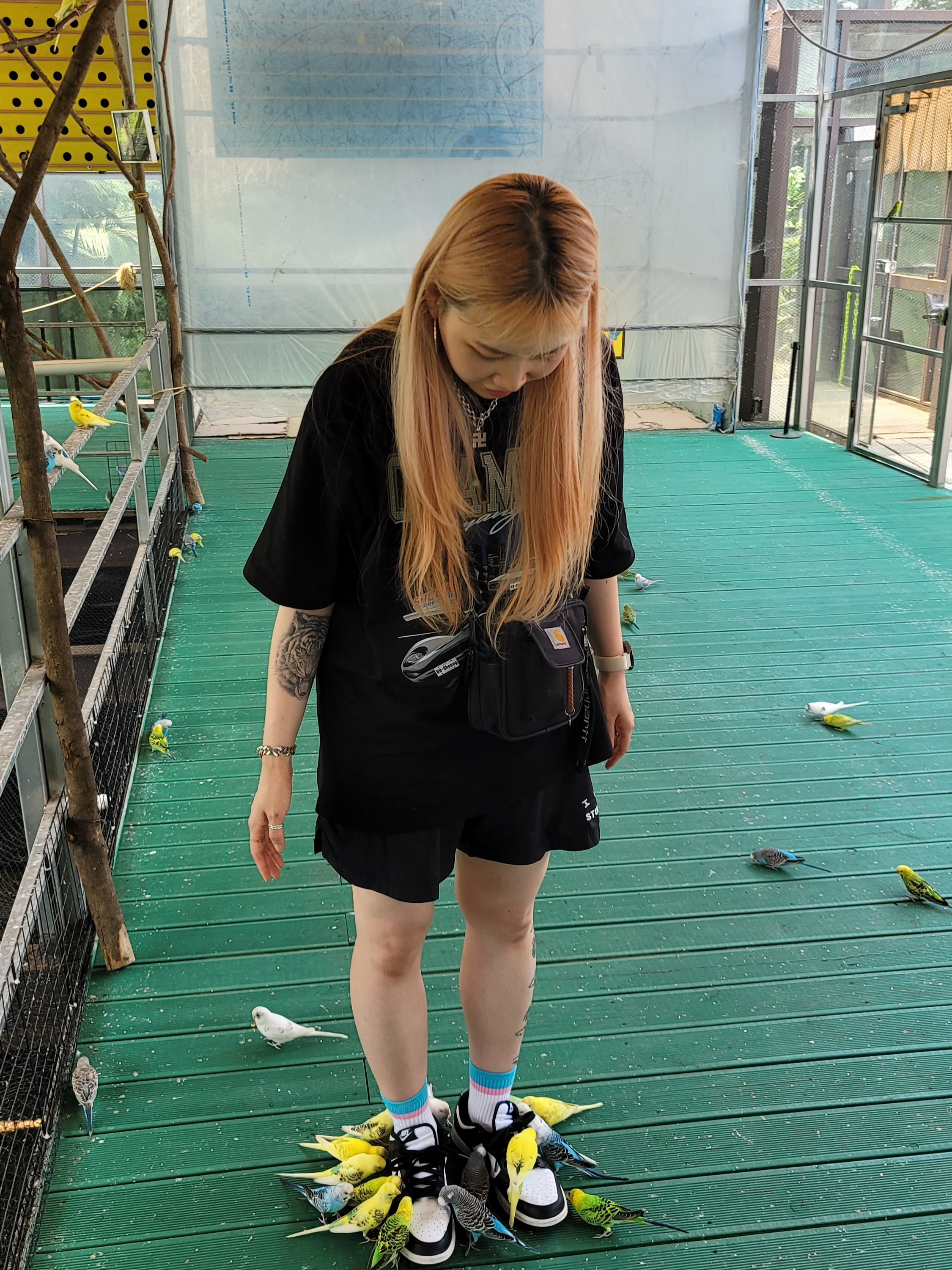 TAEYANG Shoong! Daytona Tee Black, IAB Studio Woven Shorts Black 착용 스타일
