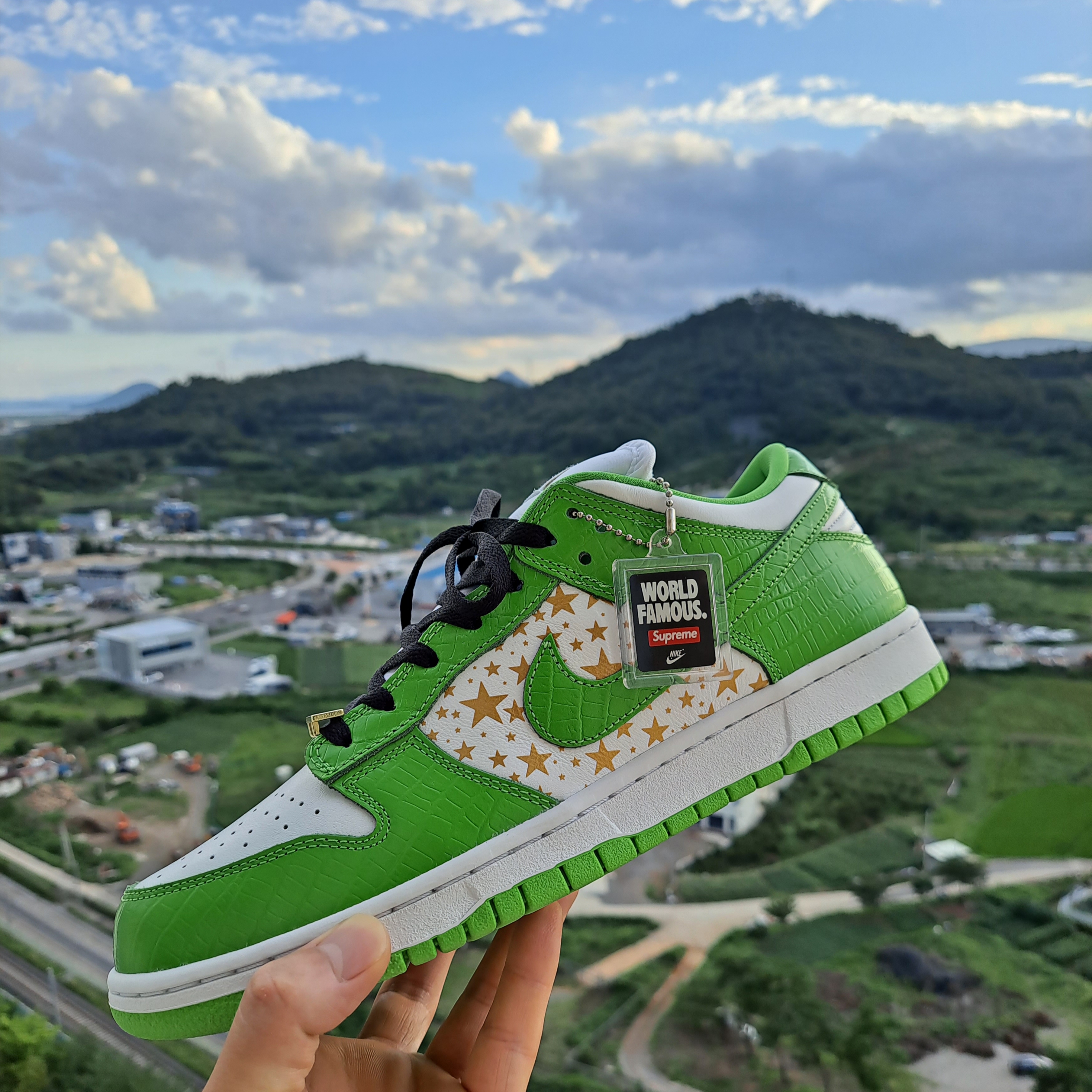 Nike x Supreme SB Dunk Low Mean Green 착용 스타일 - 1