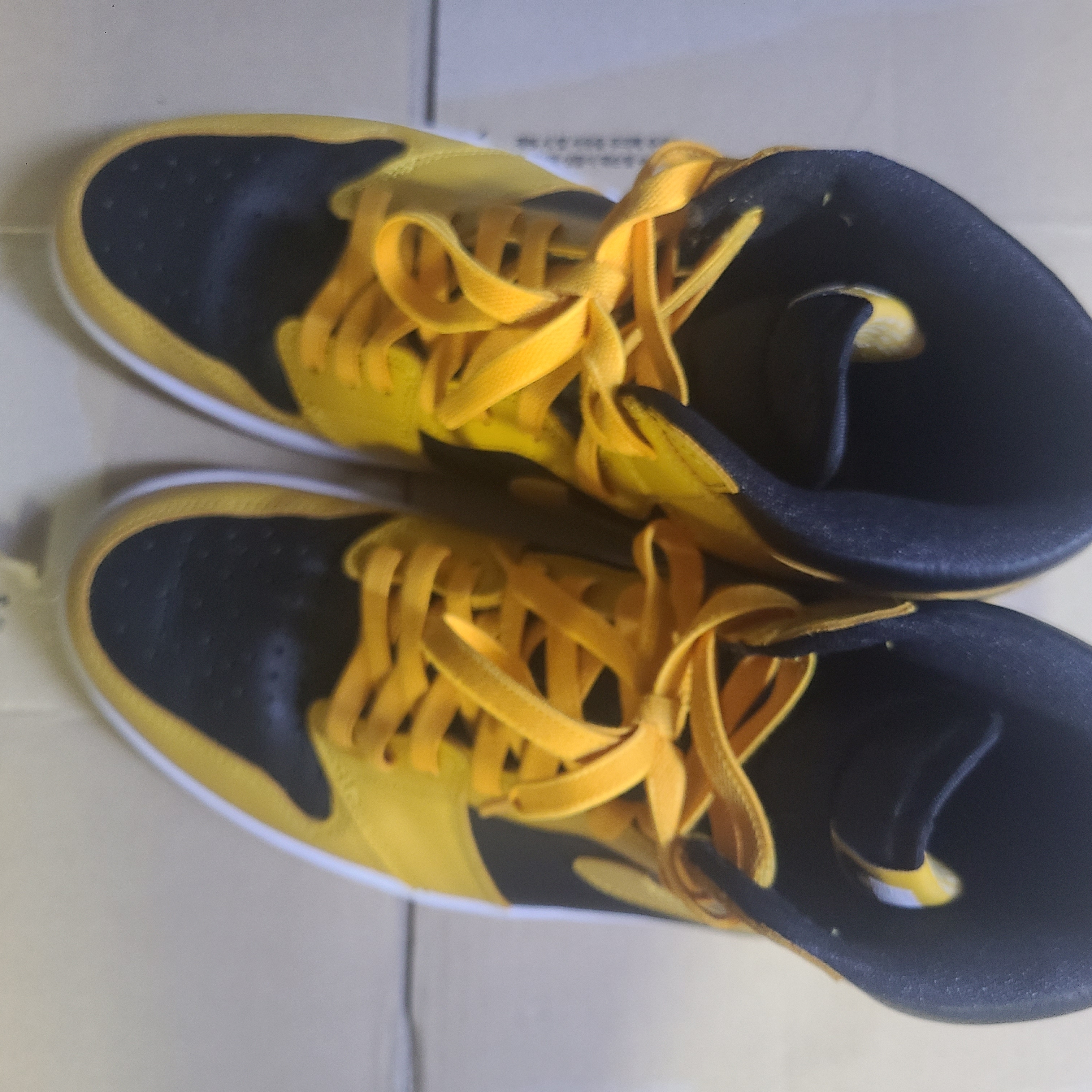 Jordan 1 Retro High OG Pollen 착용 스타일