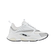 Dior B22 Sneakers Technical Mesh and Silver Calfskin White