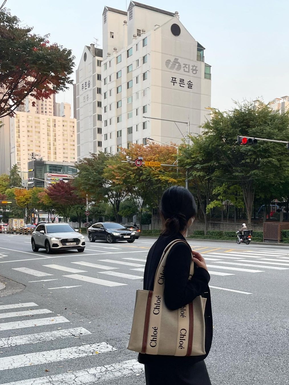 Chloe Woody Medium Tote Bag White Brown, Chloe Woody Medium Tote Bag White Blue 착용 스타일